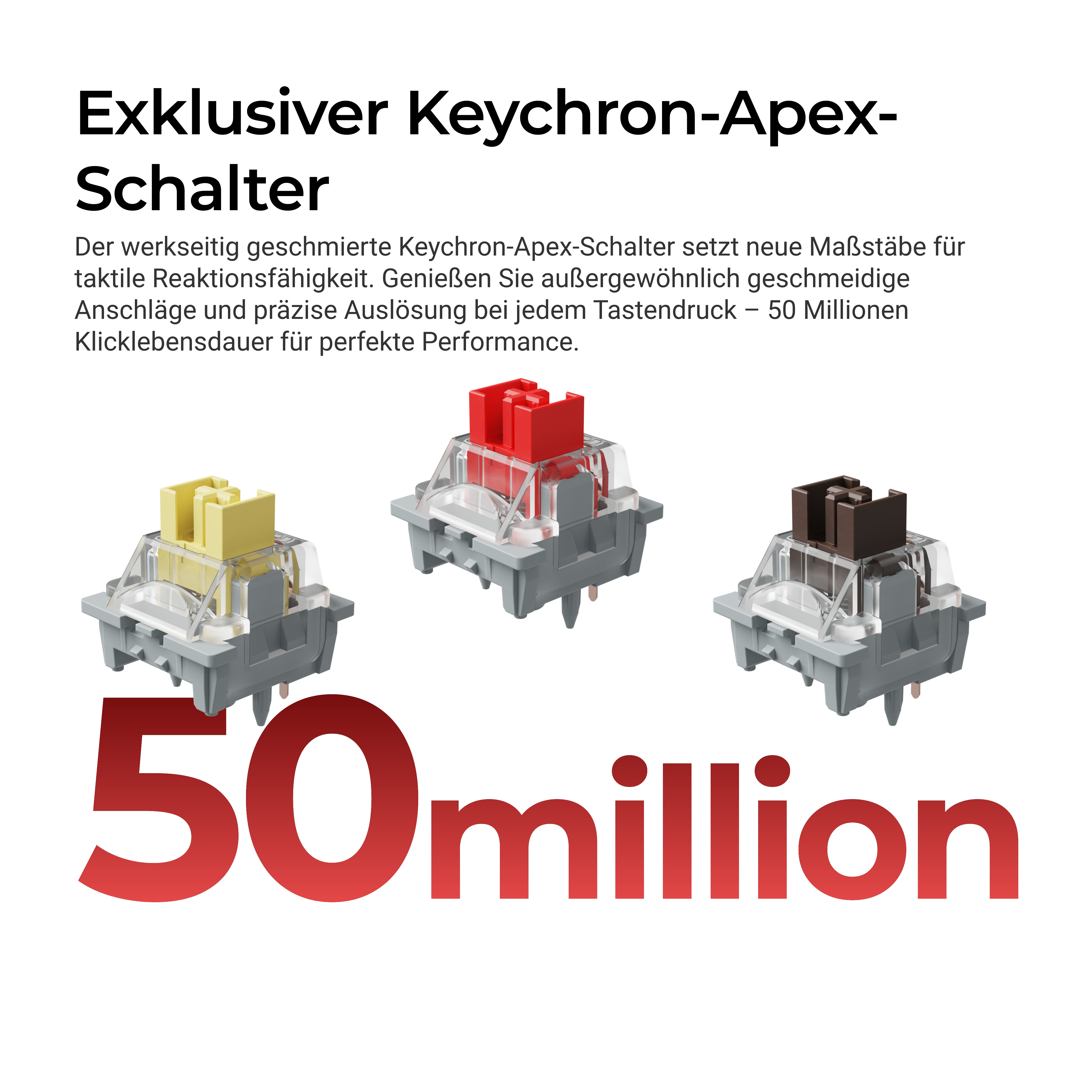 Drei mechanische Tastaturschalter in Gelb, Rot und Braun mit Text und großem Text unten.