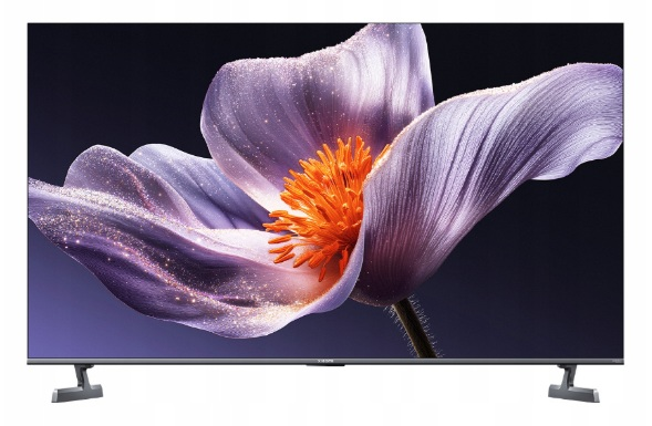 Telewizor na podstawkach wyświetla detal jasnofioletowego kwiatu z pomarańczowymi pręcikami na ciemnym tle.
