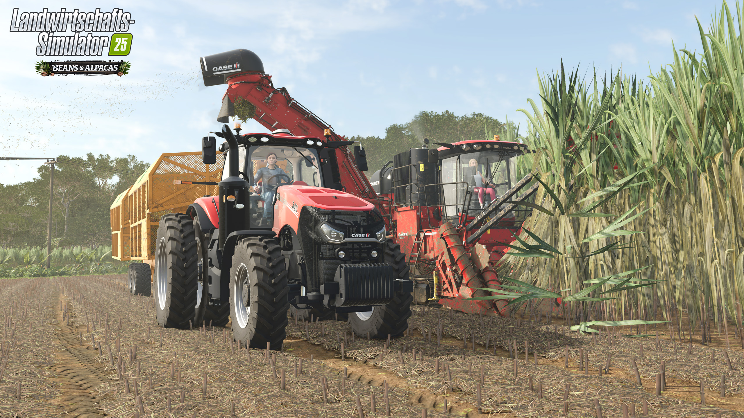 Ein roter Traktor mit Anhänger und ein Mähdrescher ernten ein Feld unter klarem Himmel.