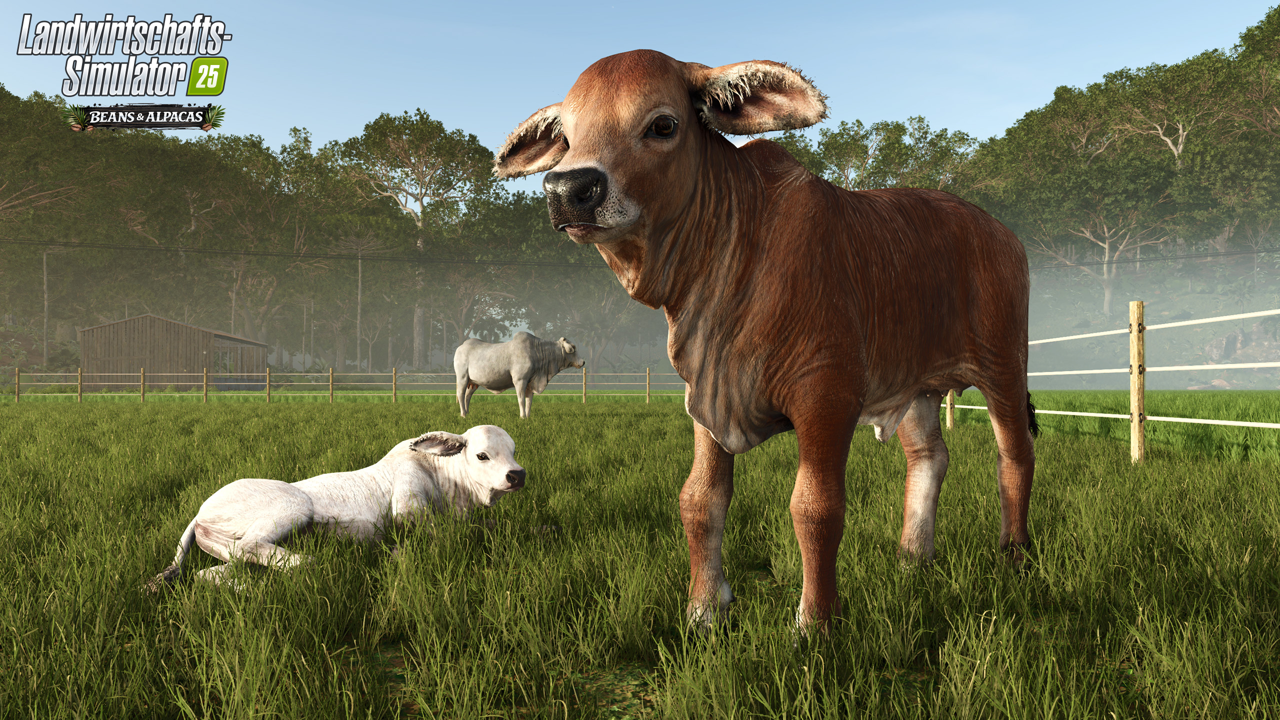 Ein braunes Kalb steht auf einer grünen Wiese mit anderen Rindern und Bäumen im Hintergrund.