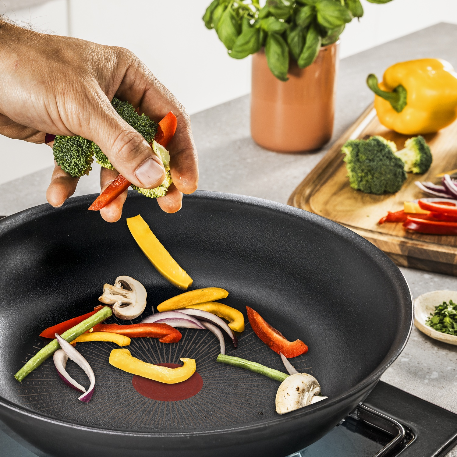 TEFAL Excellence+ G3300602