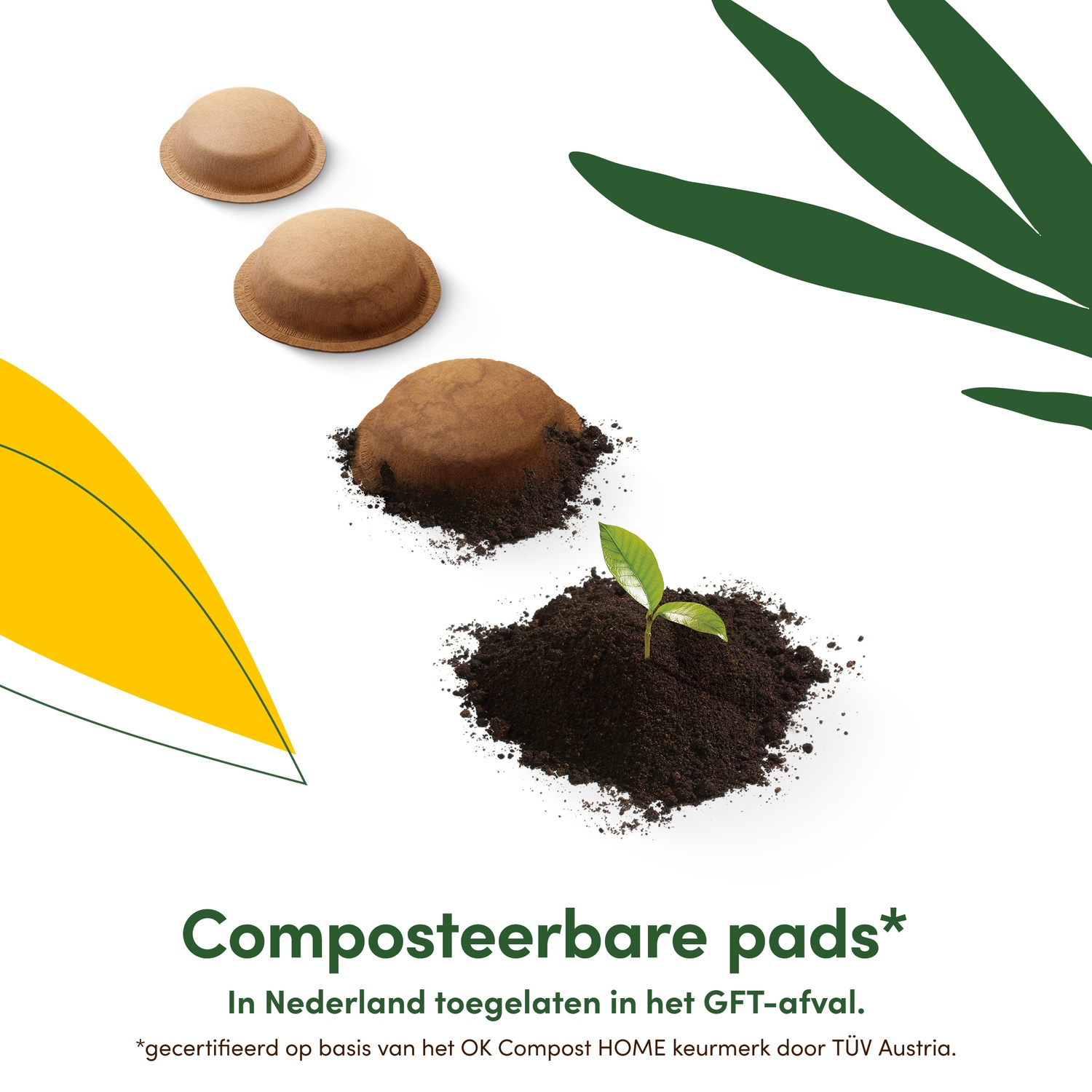 Four coffee pods gradually dissolve into soil, from which a green plant grows. Text below.