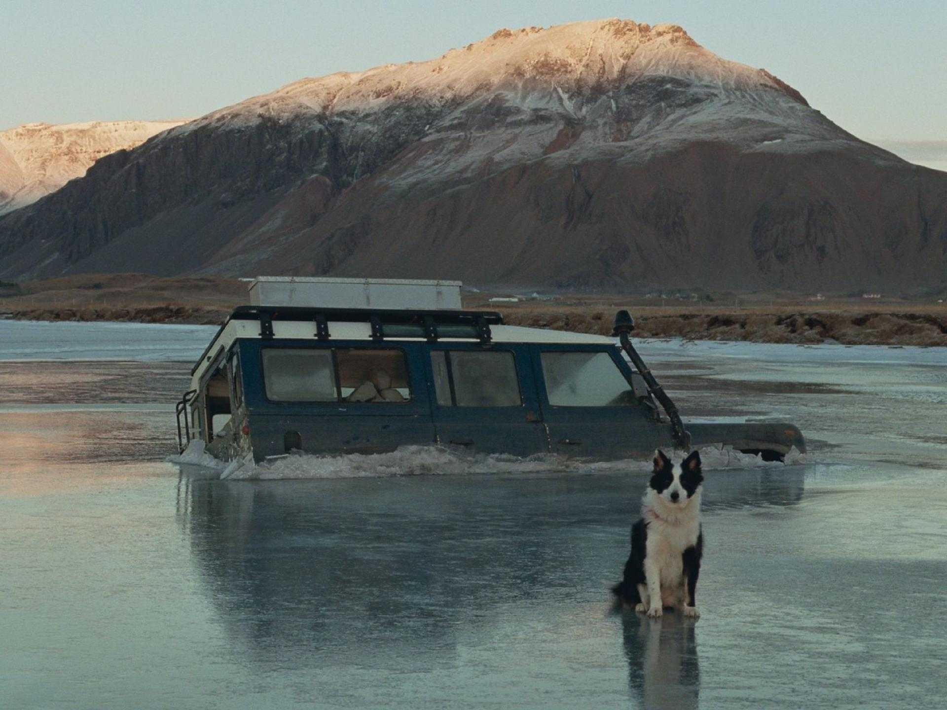 Ein schwarz-weißer Hund sitzt auf dem Eis vor einem im flachen Wasser stehenden Geländewagen, mit Bergen im Hintergrund.