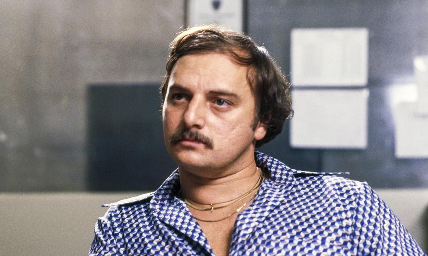 Ein Mann mit dunklem Haar, Schnurrbart und einem blau-weiß gemusterten Hemd blickt ernst.