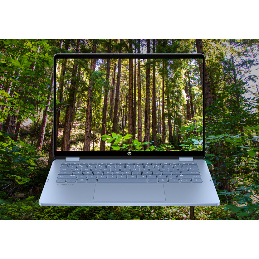 Srebrny laptop na pierwszym planie, a jego ekran przedstawia zielony las z wysokimi drzewami.