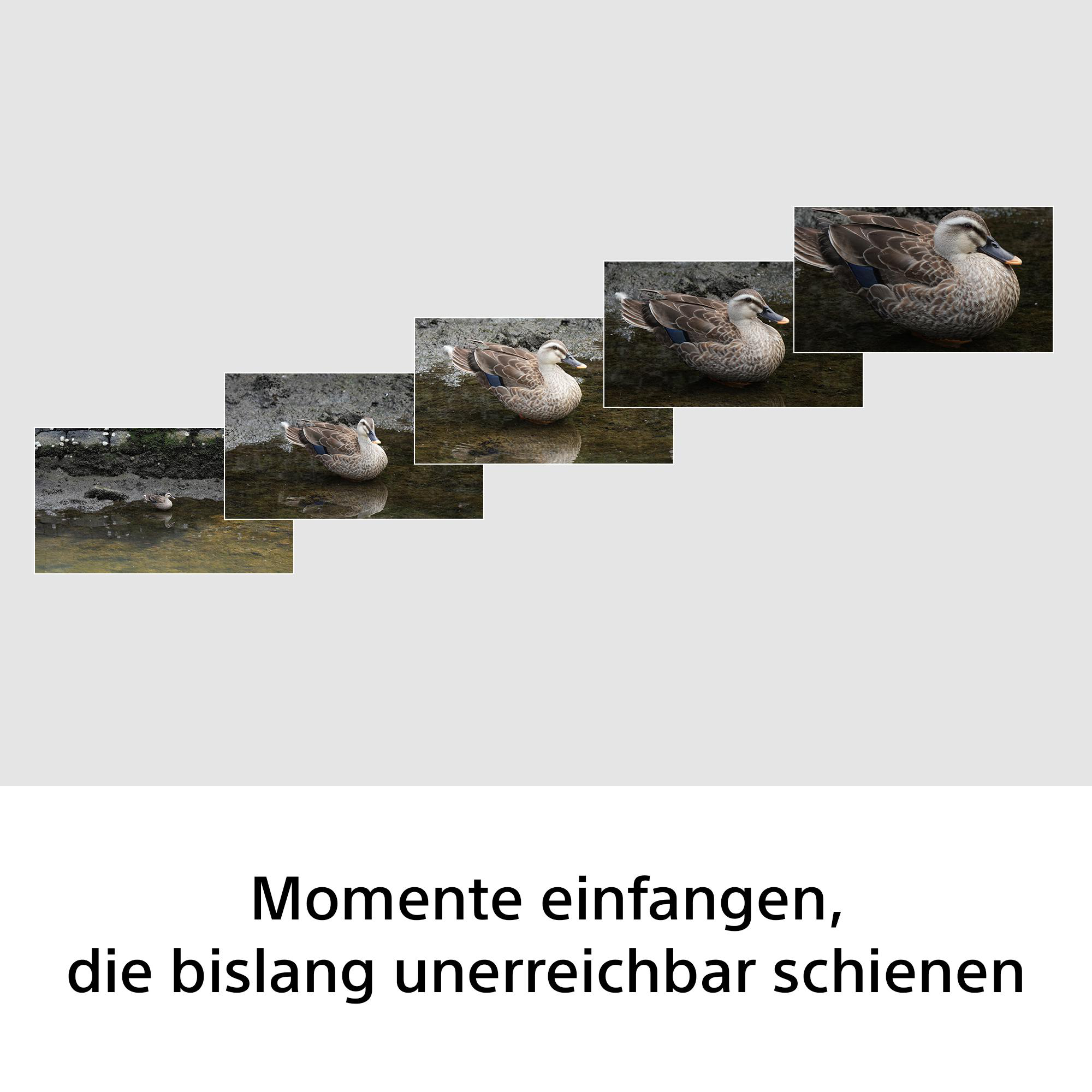 SONY SEL100400B.SYX 100 mm - 400 mm f./5.6-8 (Objektiv für Sony E-Mount, Schwarz)