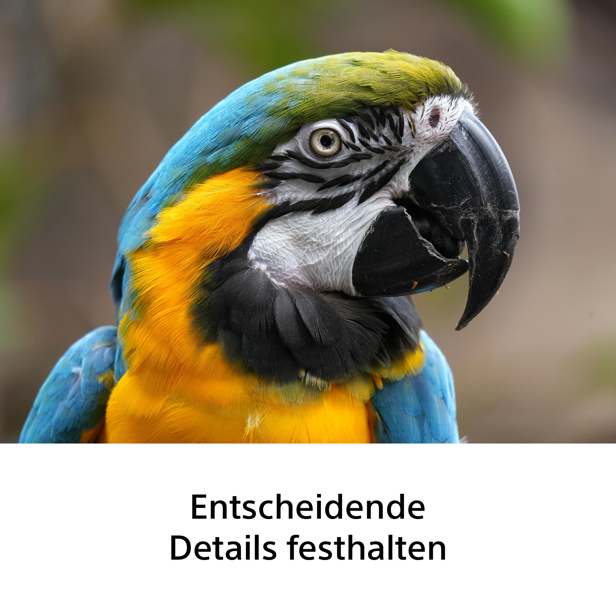 SONY SEL100400B.SYX 100 mm - 400 mm f./5.6-8 (Objektiv für Sony E-Mount, Schwarz)