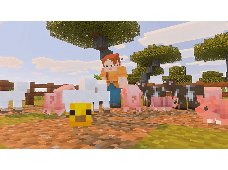 Minecraft