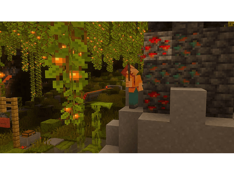 Minecraft – imagen 2
