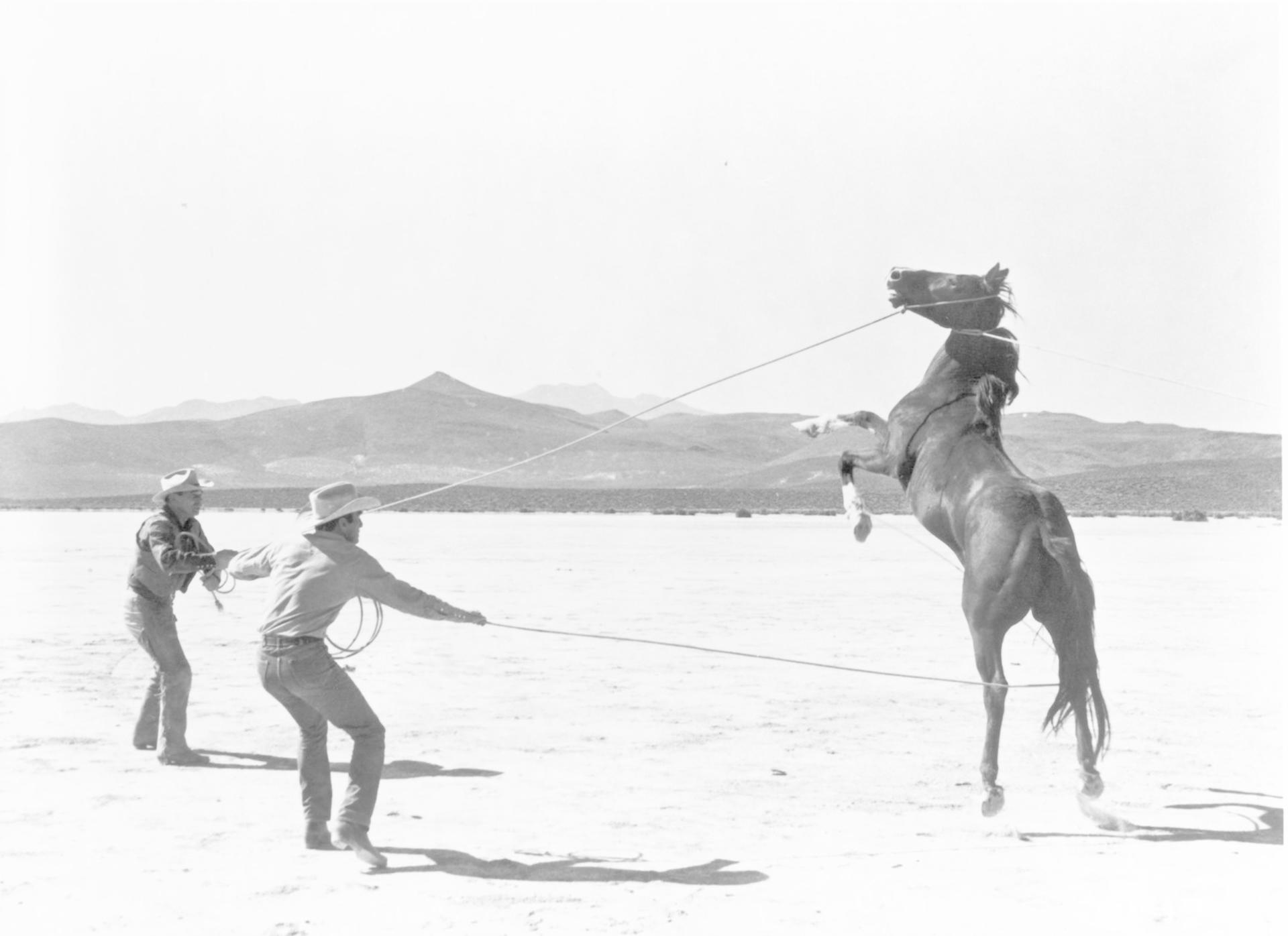 Zwei Cowboys ziehen in einer kargen Landschaft an Seilen, um ein aufbäumen Pferd zu kontrollieren.