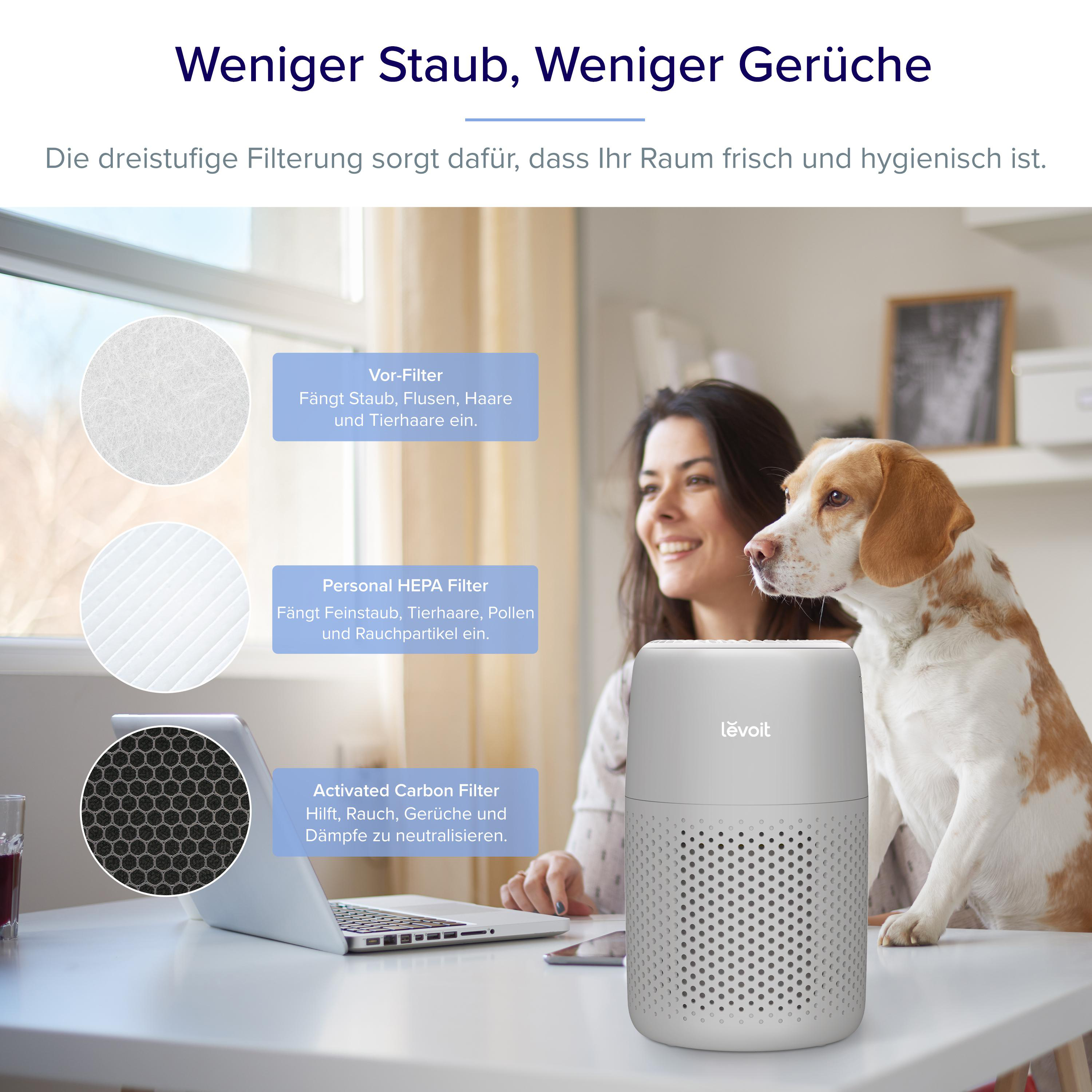 Ein Levoit-Luftreiniger auf einem Tisch mit einer Frau, einem Hund, einem Laptop und Erklärungen zu drei Filterarten.