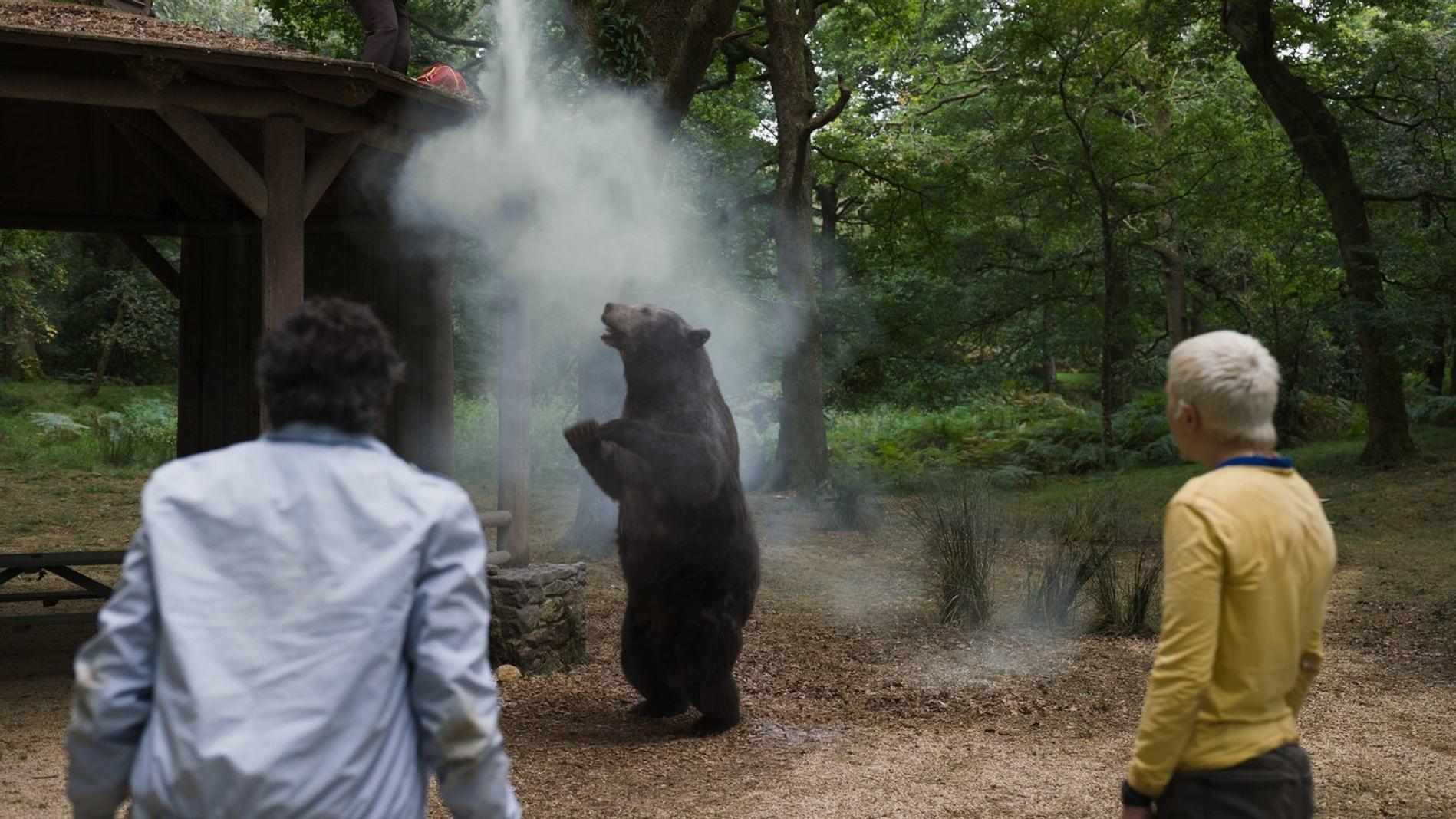 Ein Bär steht auf den Hinterbeinen im Wald, während zwei Menschen ihn beobachten, und Rauch steigt auf.