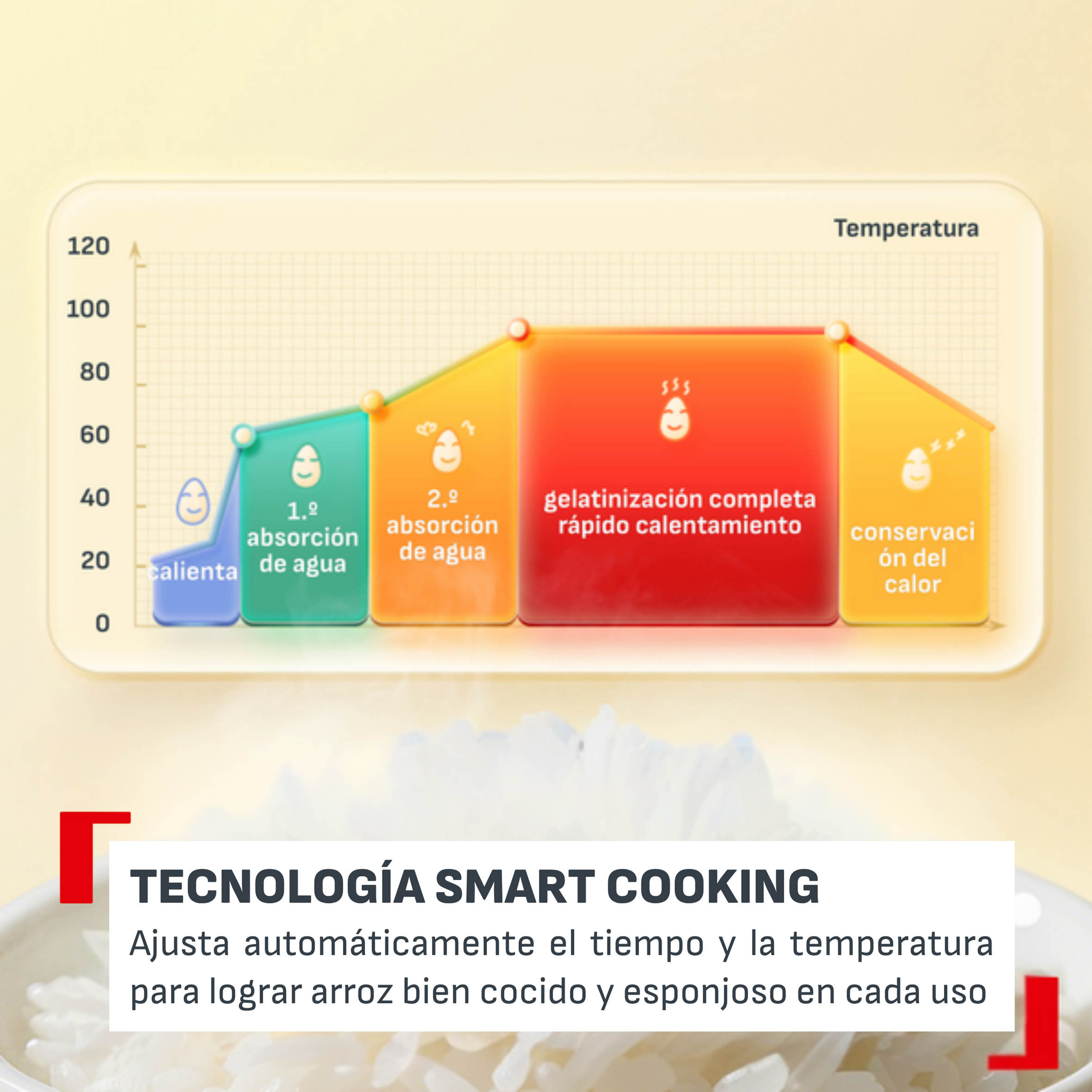Un gráfico muestra las etapas de cocción del arroz con fases de temperatura.