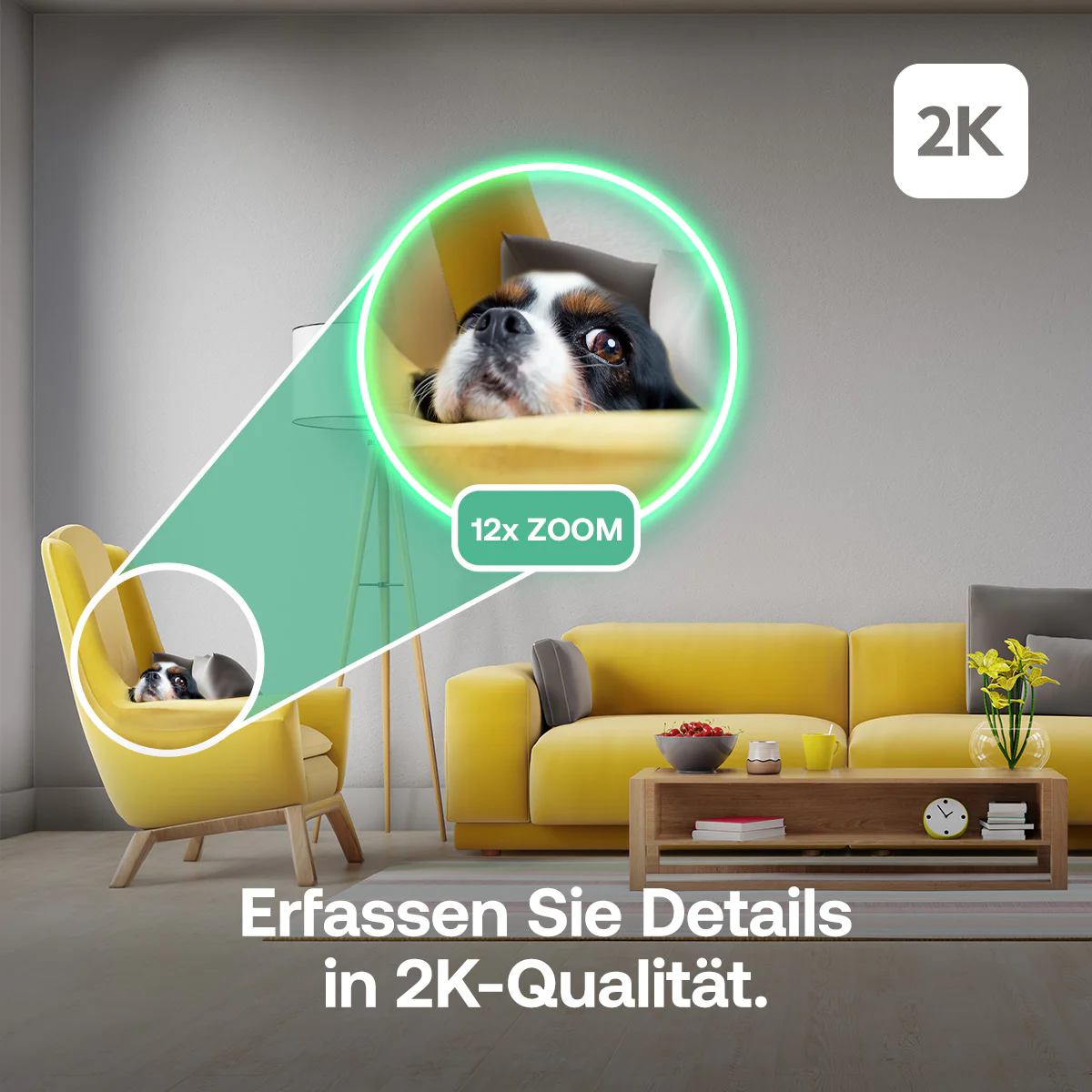 Ein gelbes Wohnzimmer mit einem Hund auf einem Sessel, hervorgehoben durch einen 12x Zoomkreis.