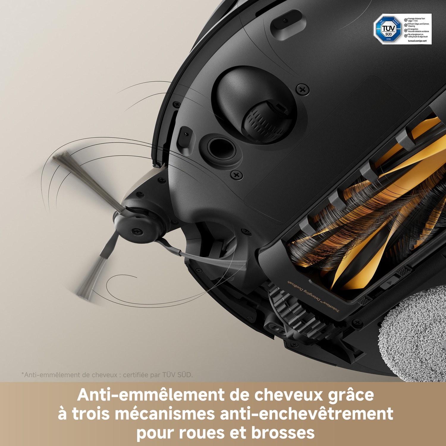 Vue inférieure d'un robot aspirateur noir avec brosse latérale rotative, brosse principale et patin.