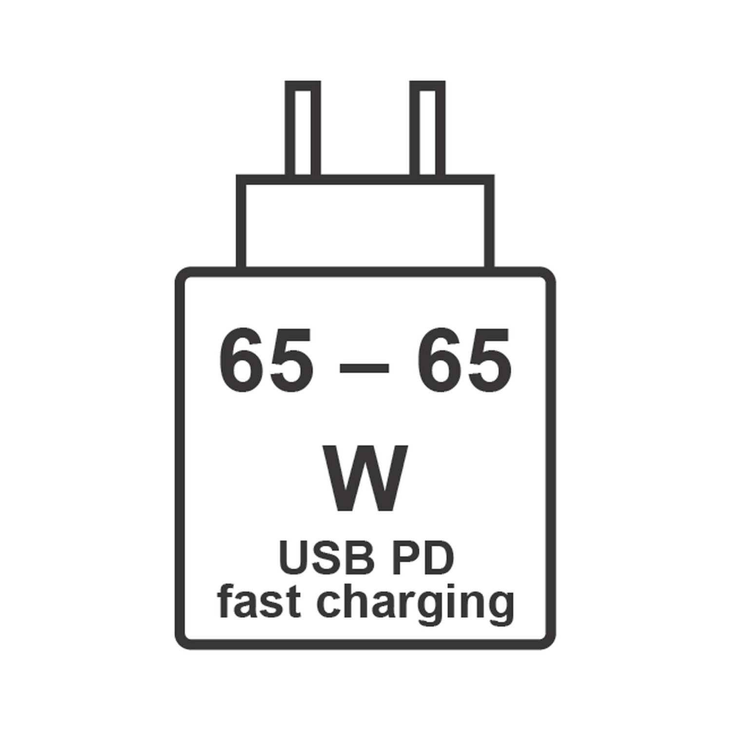 Icona di un caricabatterie da parete con testo 65 - 65 W e USB PD fast charging.