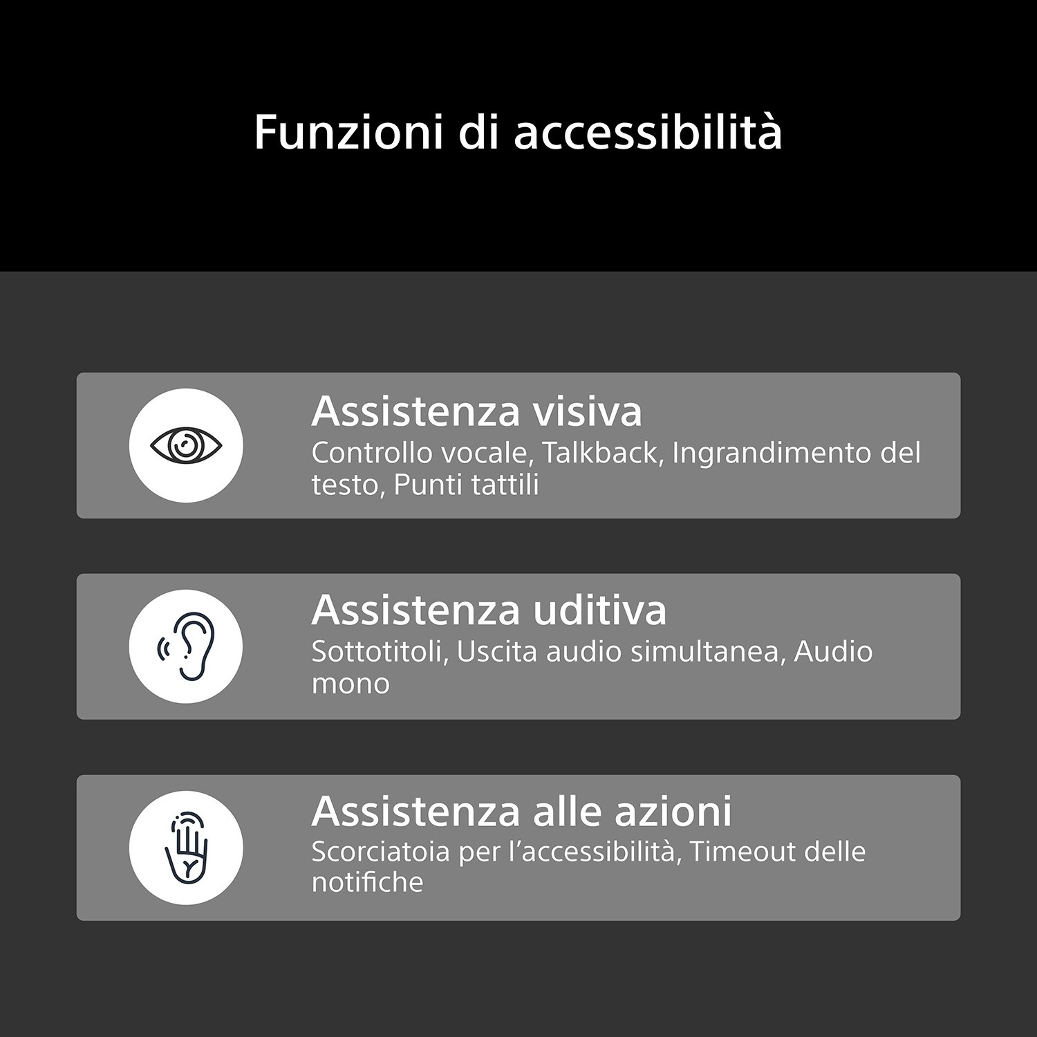 Menu delle funzioni di accessibilità con tre opzioni: assistenza visiva, uditiva e alle azioni.