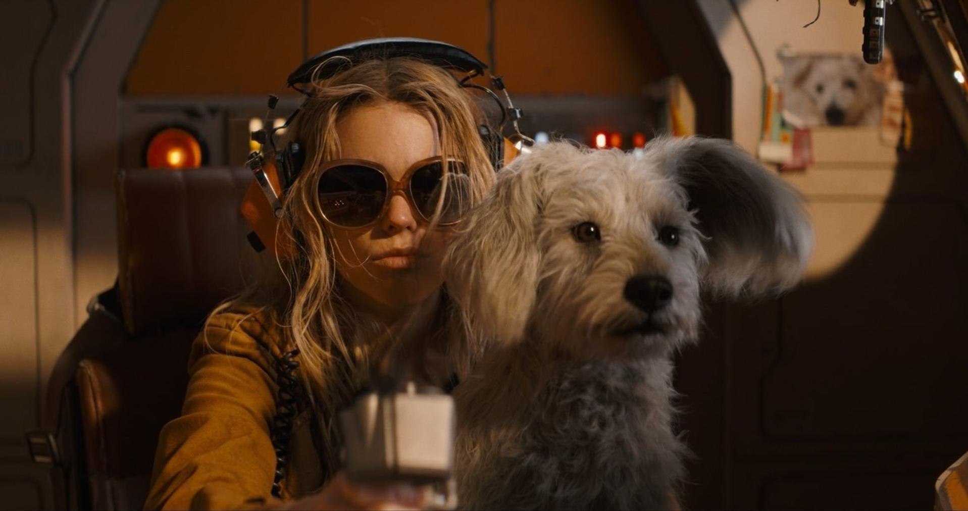 Eine Frau mit Sonnenbrille und Kopfhörer im Auto, ein kleiner weißer Hund sitzt neben ihr.