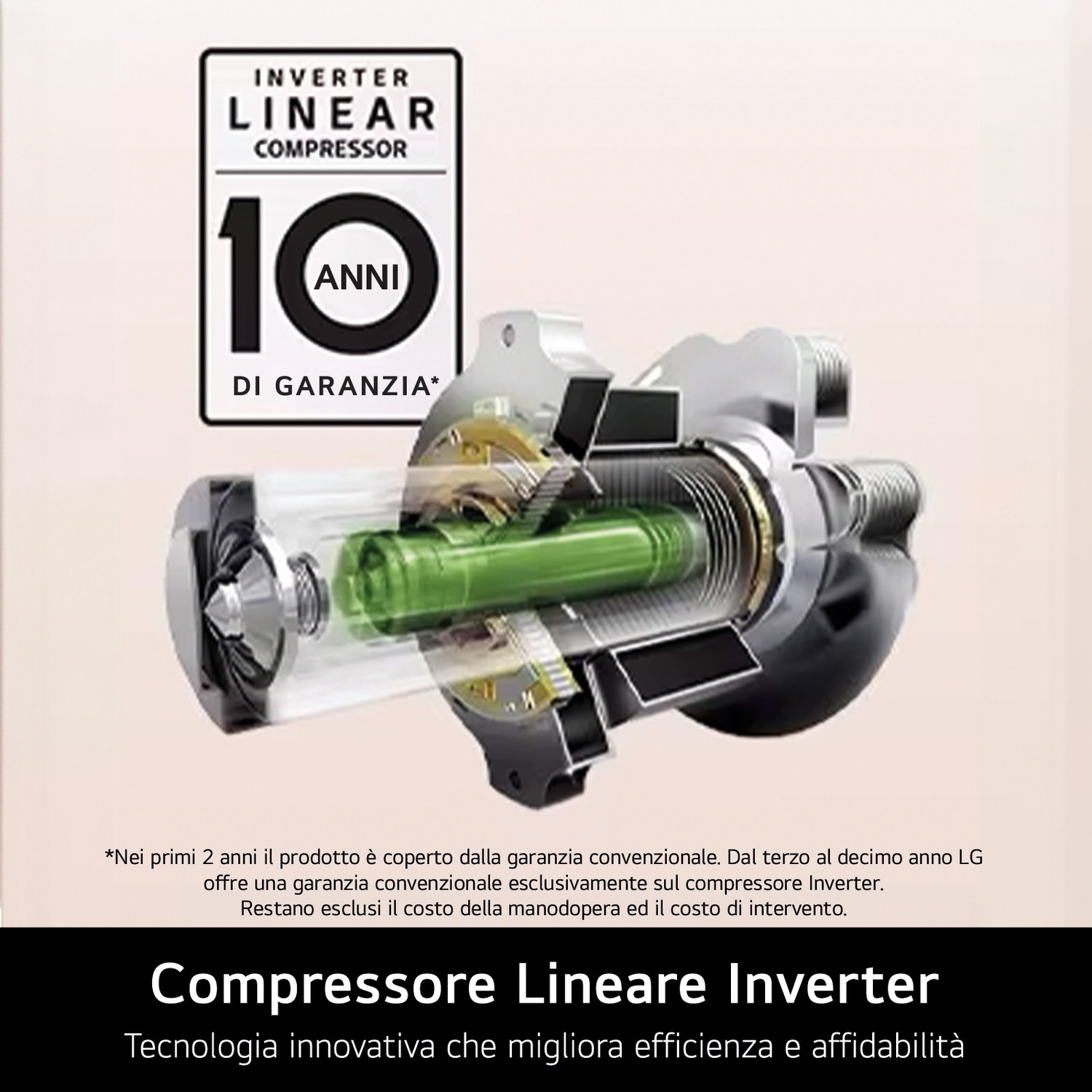 Sezione trasversale di un compressore lineare Inverter con 10 anni di garanzia.