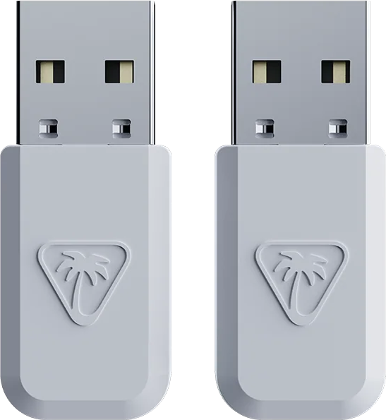 Deux clés USB blanches avec un logo de palmier sur fond noir.