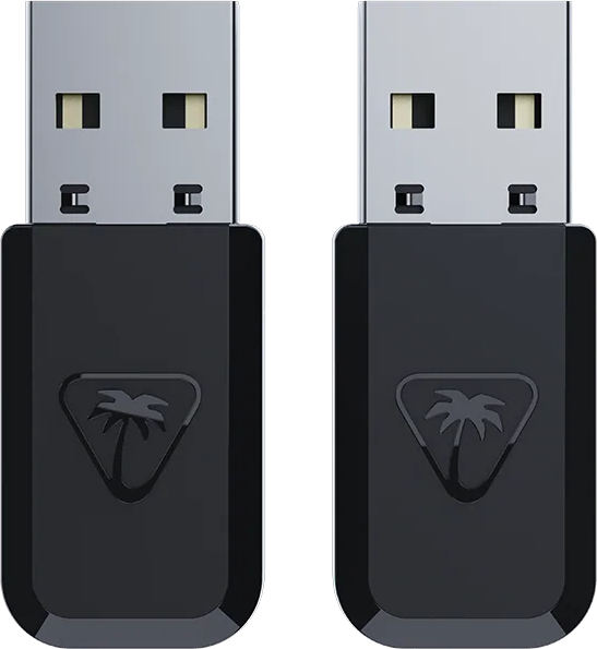 Deux clés USB noires avec un logo de palmier sur fond noir.