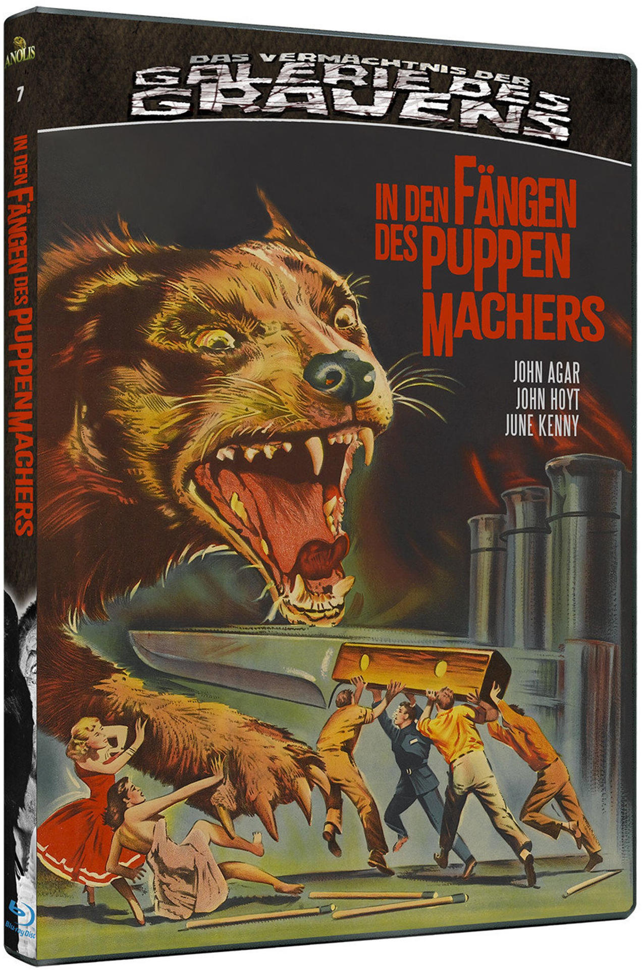DVD-Cover zeigt einen Riesenbären, der angreift, und kleine Menschen, die sich wehren.