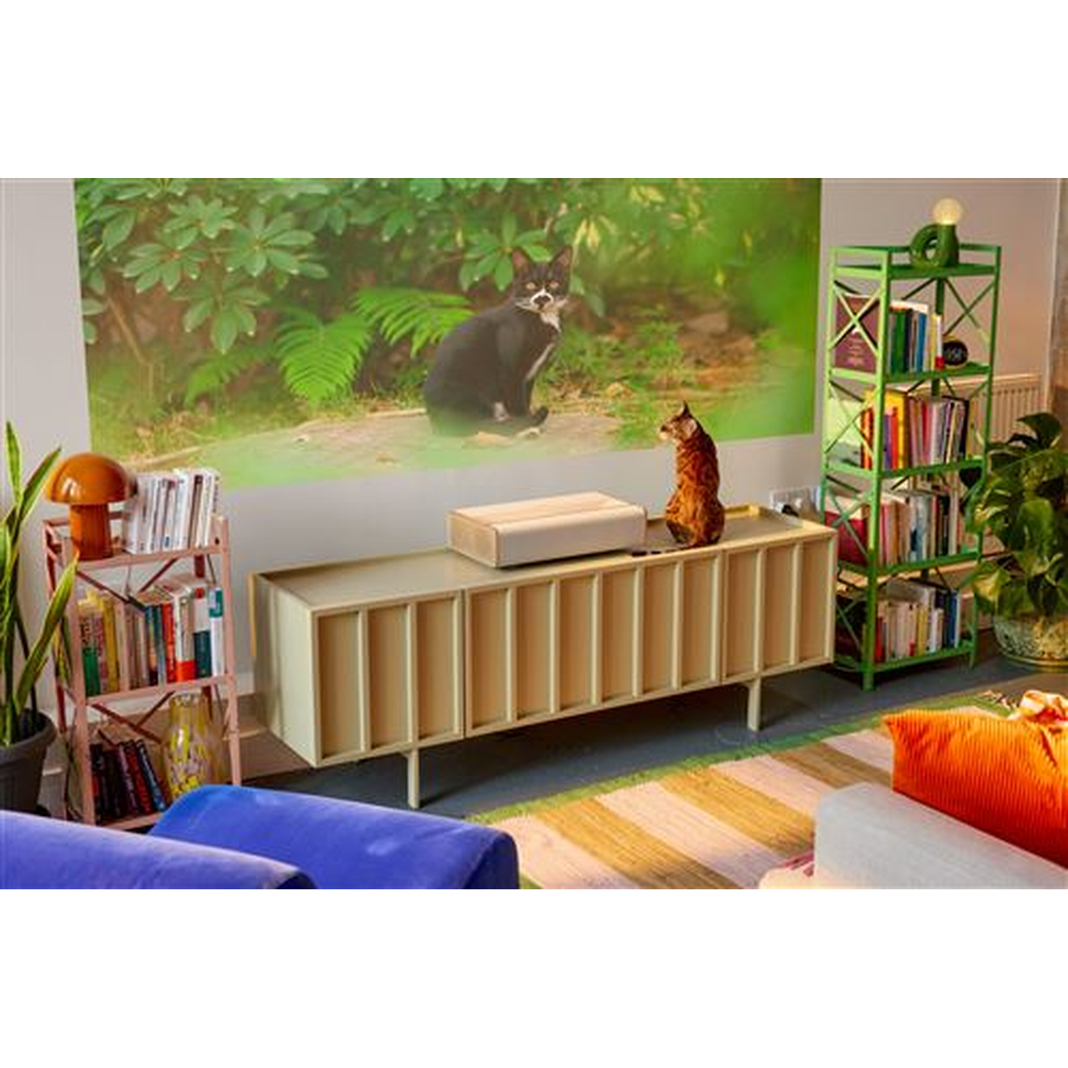 Woonkamer met groene boekenkast, meubel, projectiescherm met kat en een echte kat erop.