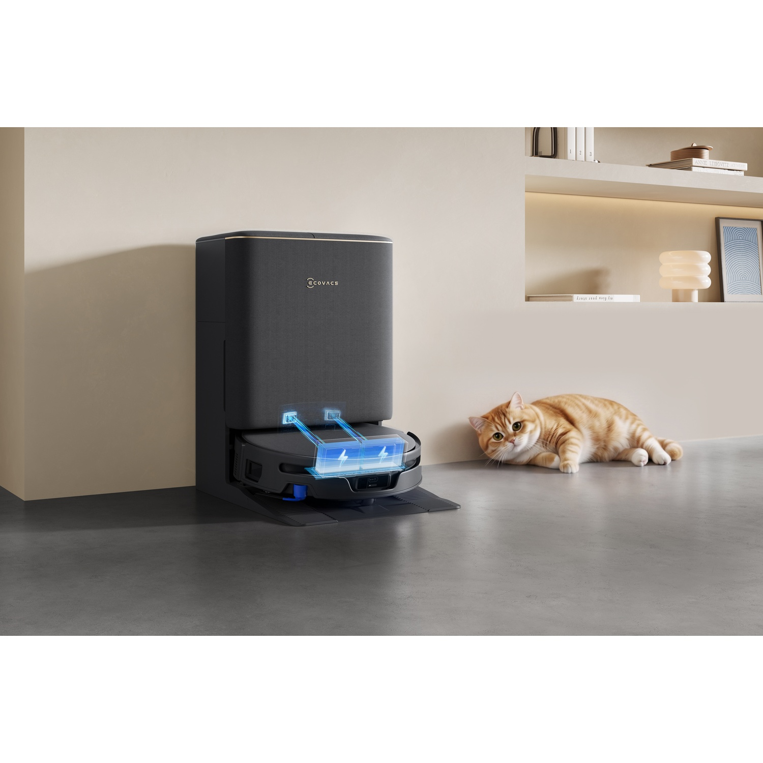 Un robot aspirapolvere nero si ricarica alla sua base mentre un gatto tigrato arancione si sdraia vicino.