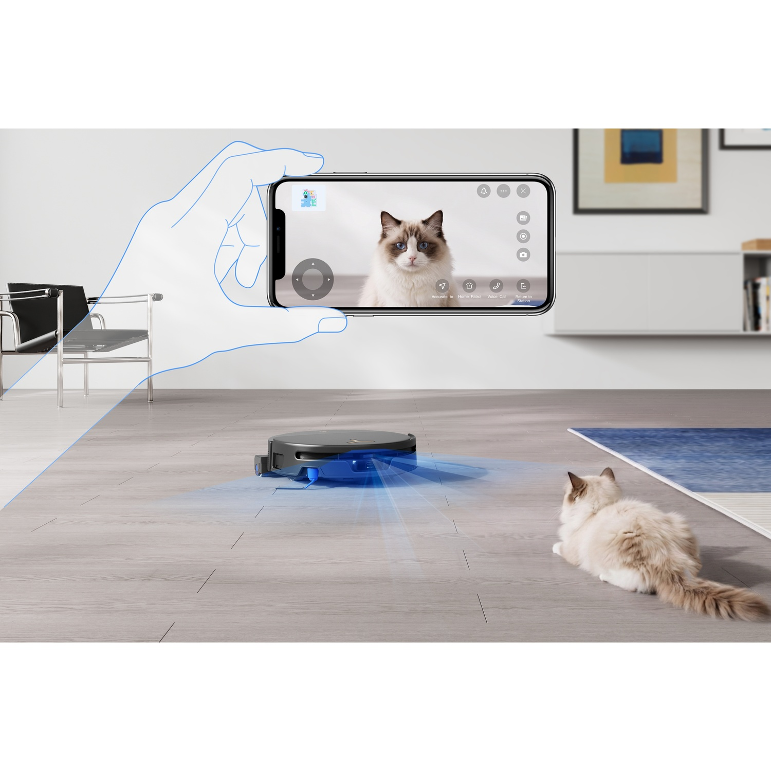 Uno smartphone mostra un'app che riprende un gatto mentre un robot aspirapolvere si muove su un pavimento.