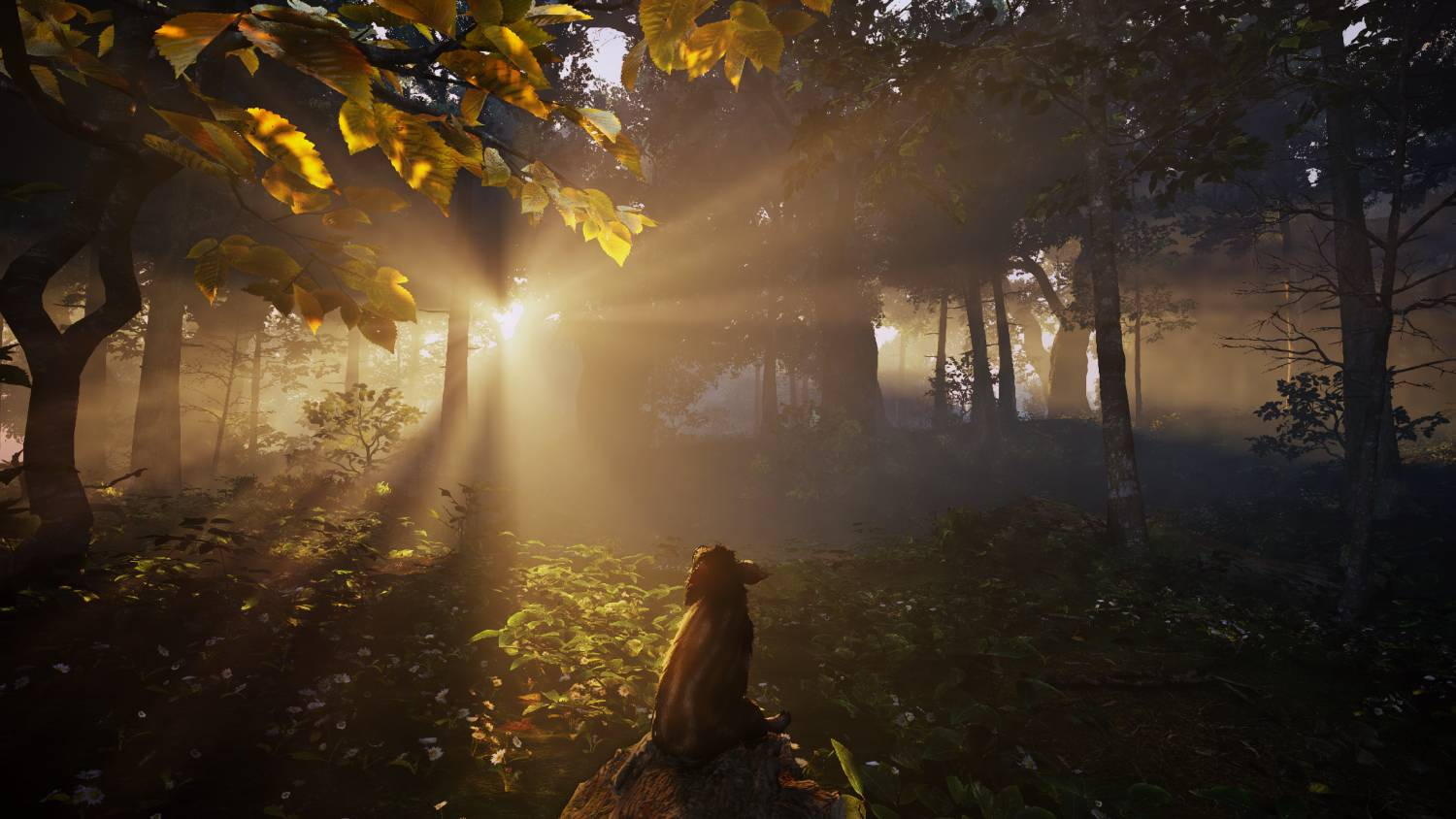 Un mono sentado en una roca en un bosque soleado y brumoso con rayos de luz.