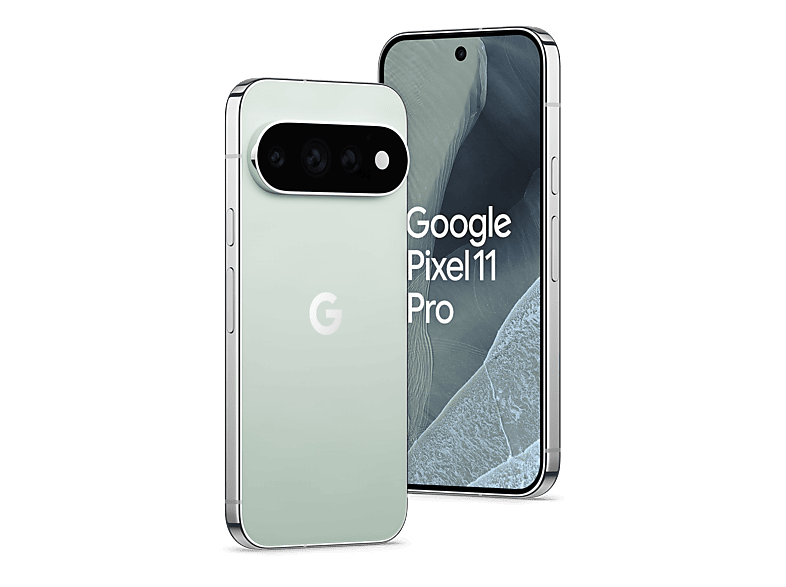 Google Pixel 11 Pro, 256 GB, Fog, Dual SIM