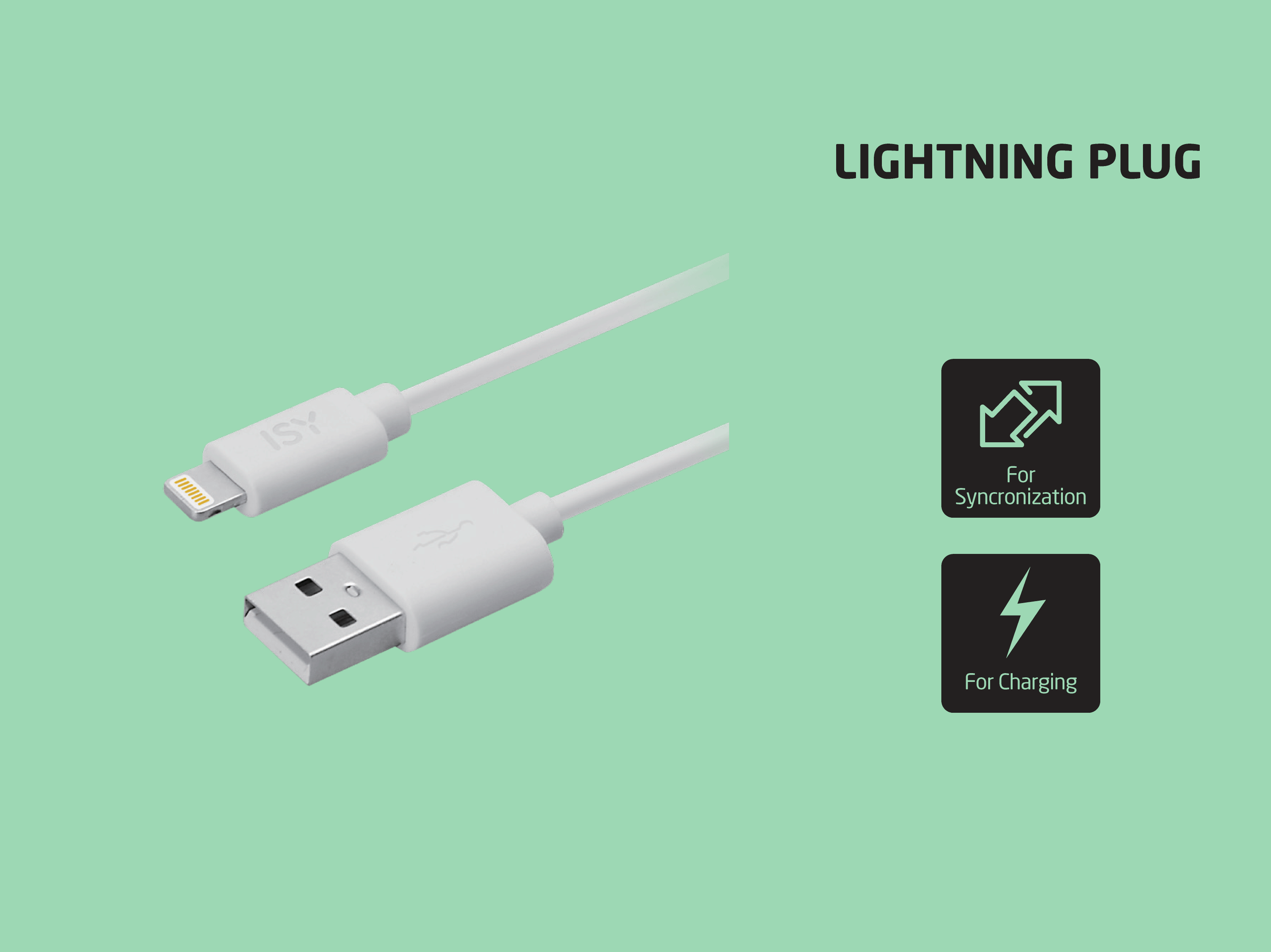 Weißes Lightning- und USB-Kabel auf grünem Hintergrund, mit Text und Symbolen für Synchronisation und Laden.