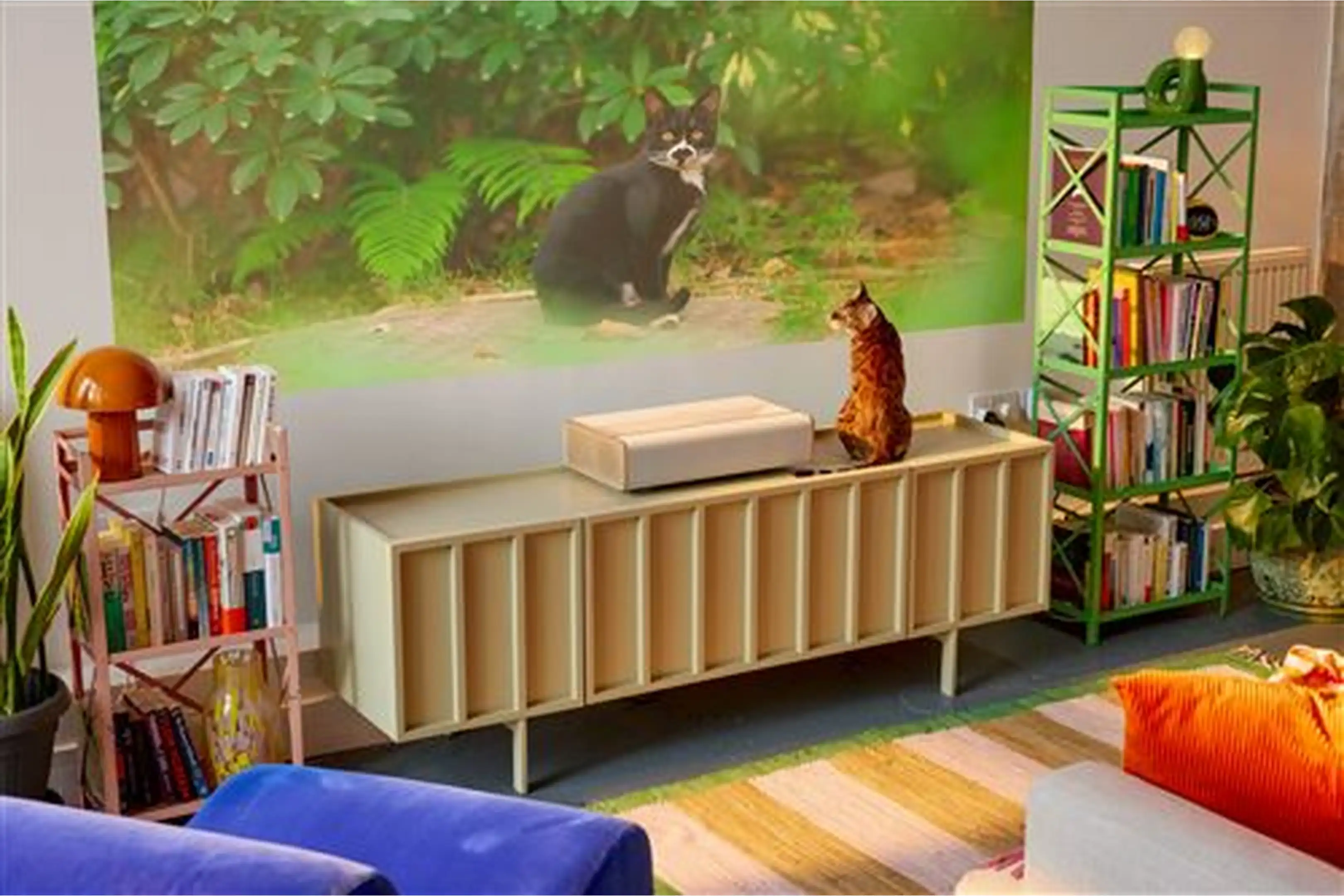 Salon avec meuble TV, bibliothèques, plantes, chat devant un écran de projection vert et mobilier clair.