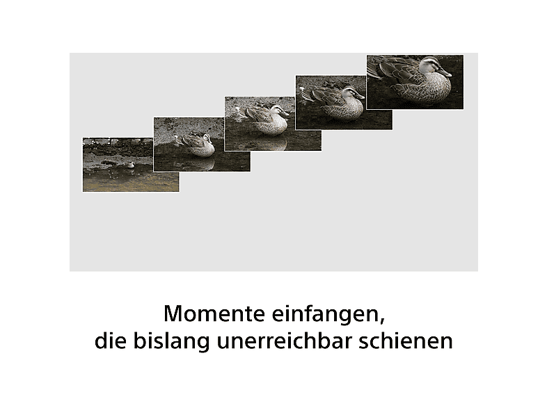 Sony FE 100–400 mm F5.6-8 OSS Objektiv, Vollformat-Objektiv, Schwarz; Super-Tele-Zoomobjektiv — Foto 2 von 5