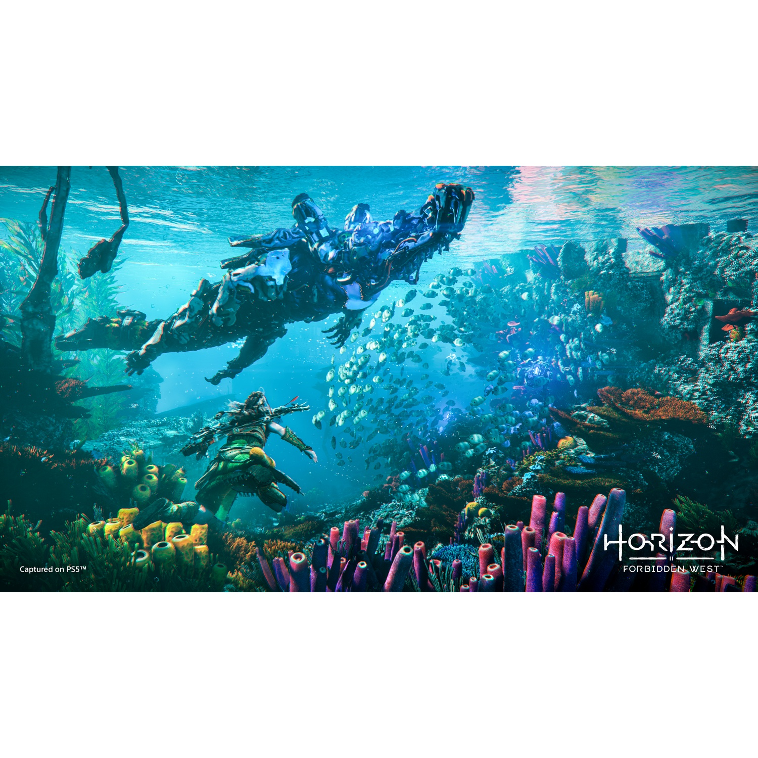 Aloy zwemt in de oceaan nabij koraal en vissen terwijl een groot robotwezen boven haar zweeft.