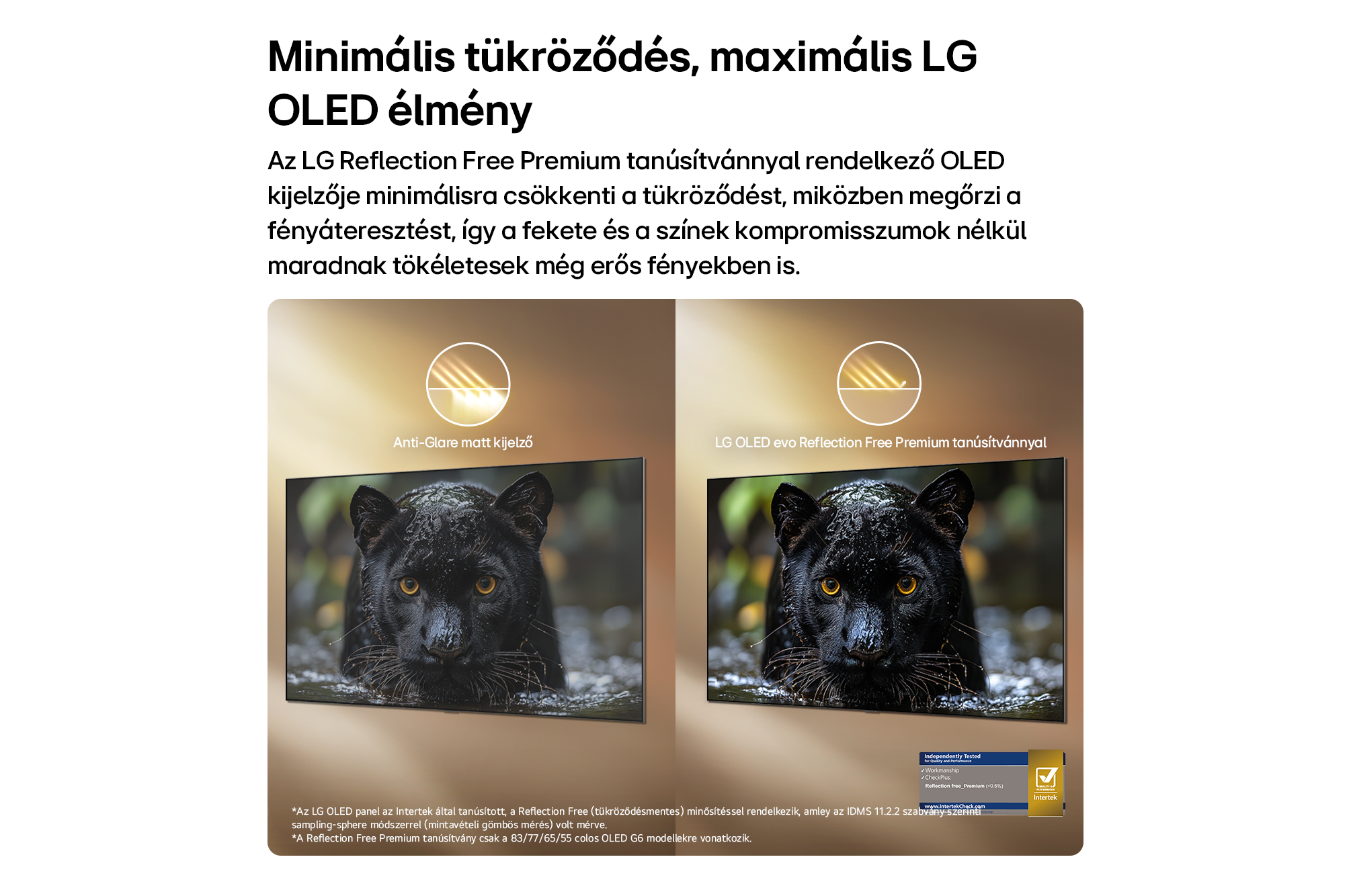 Két LG OLED képernyő összehasonlítása fekete párduccal, a tükröződésmentes technológia bemutatására.