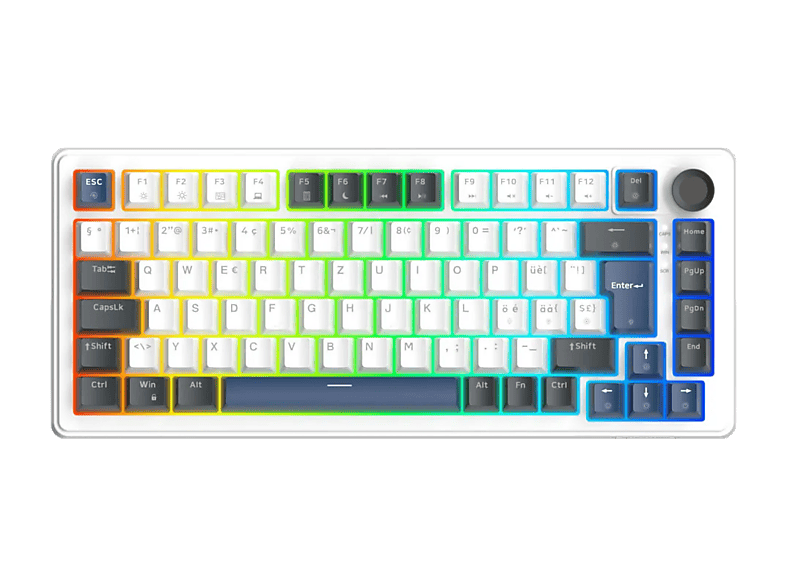 DELTACO DK480 (CH), Gaming-Tastatur, Mechanisch, Kabelgebunden, Weiss