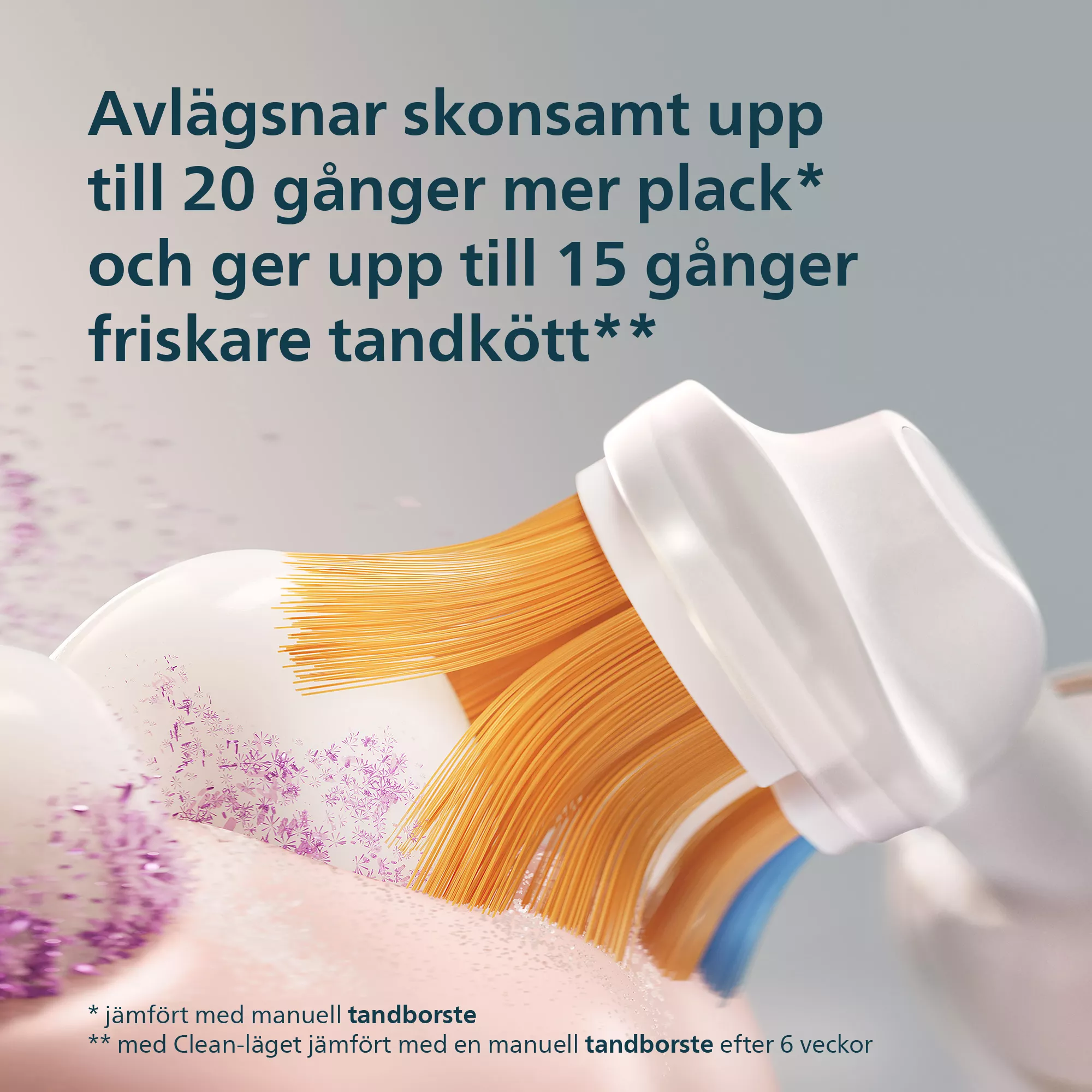 Eine Zahnbürstenbürste mit orangen Borsten reinigt Zähne, entfernt violette Plaque-Partikel, mit schwedischem Text.