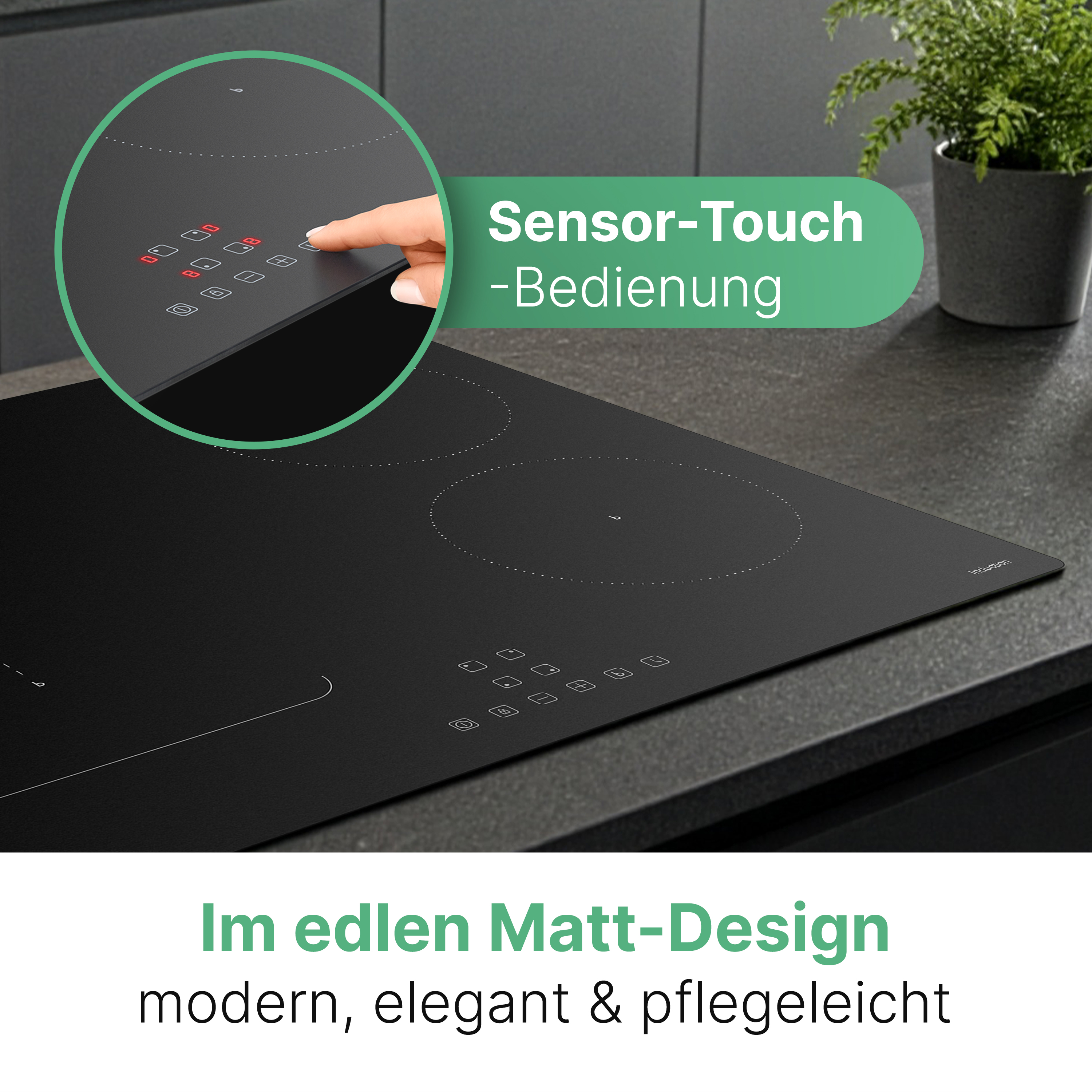 Schwarzes Matt-Induktionskochfeld mit Sensor-Touch-Bedienung und einem Topf mit grüner Pflanze im Hintergrund.