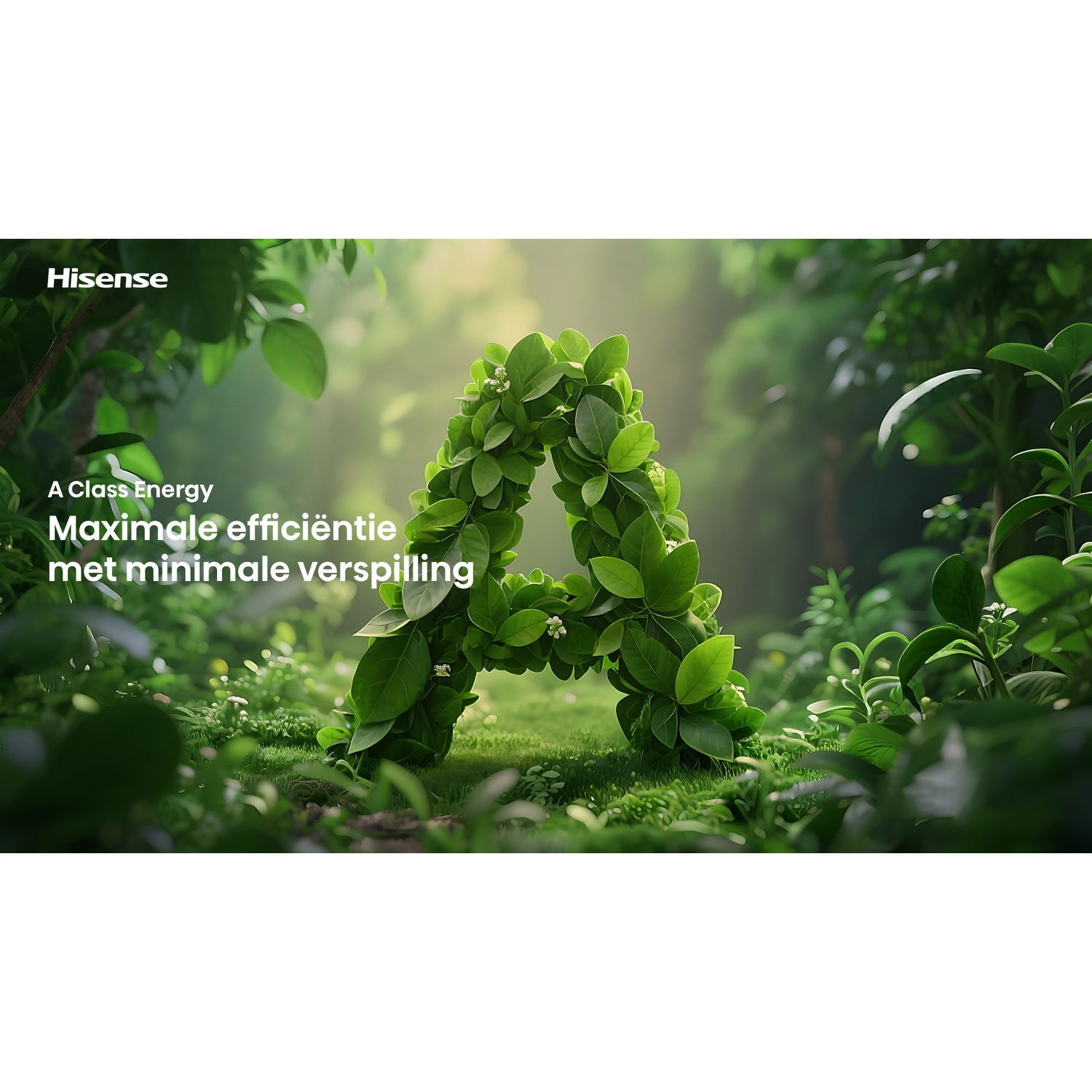 A green letter A made of leaves in a sunny forest with energy efficiency text.