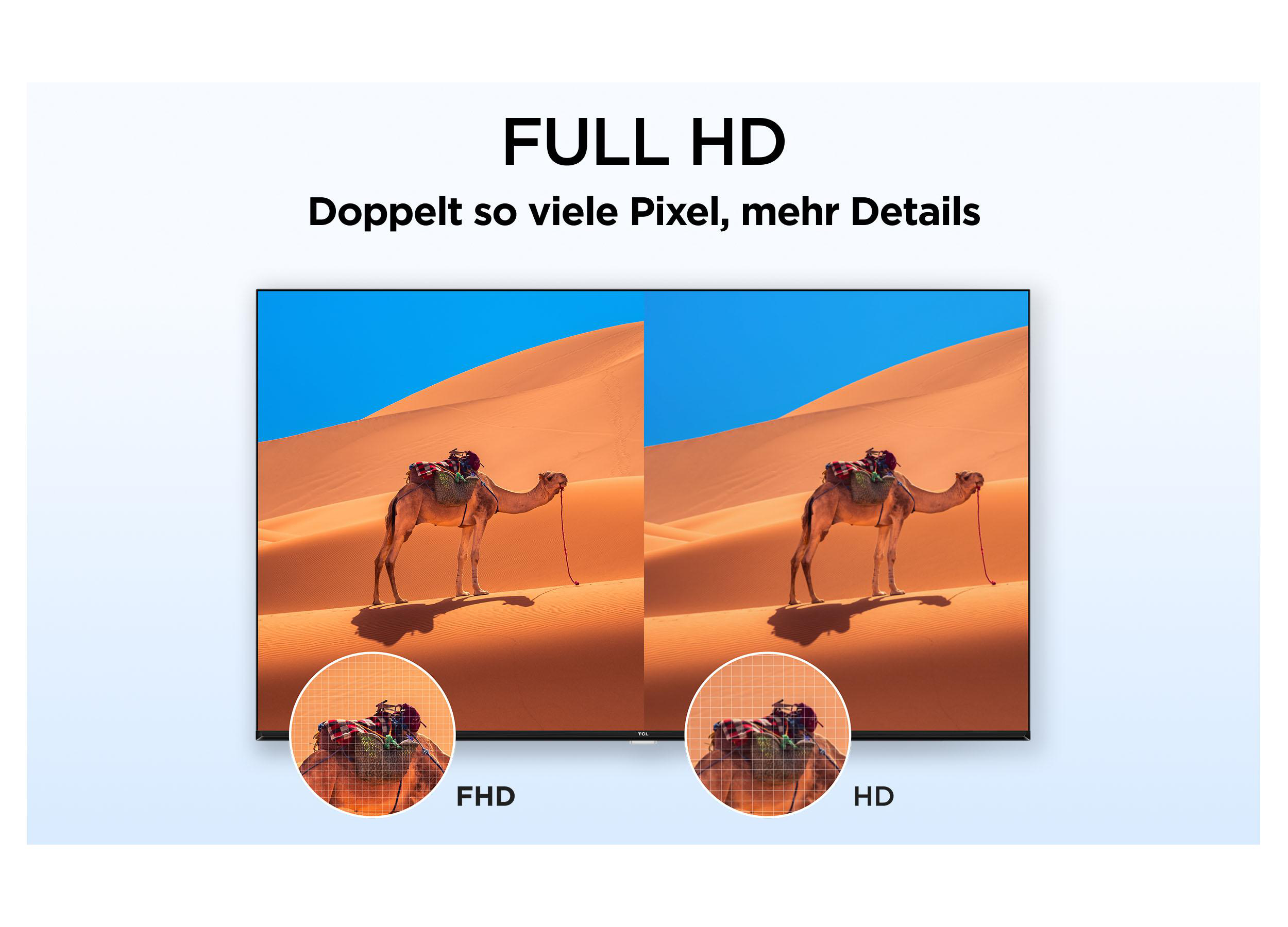 Vergleich zwischen Full HD und HD Bildschirmauflösung mit einem Wüstenkamel als Motiv.