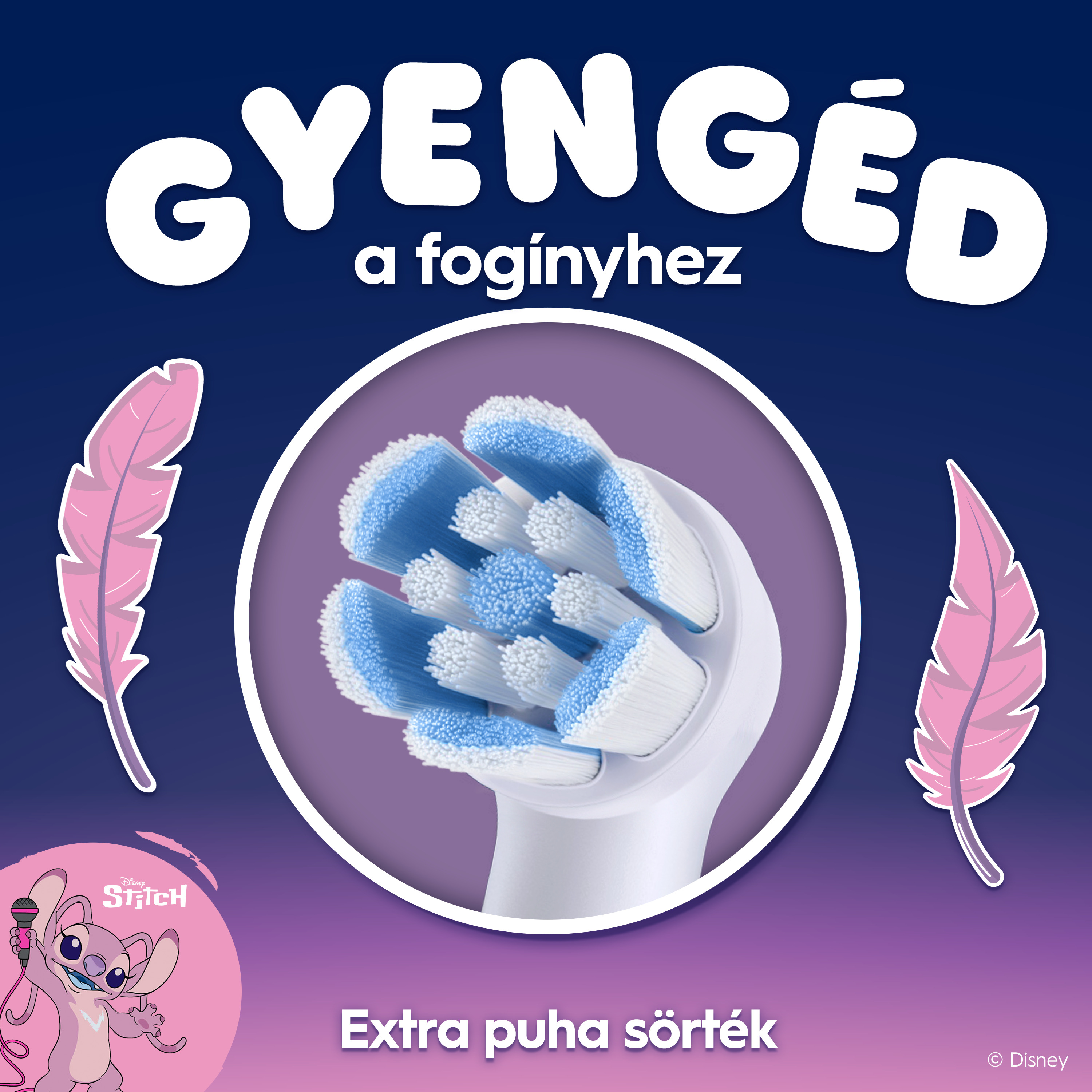 Közeli kép egy kerek fogkefefejről kék és fehér sörtékkel, tollakkal és szöveggel keretezve.