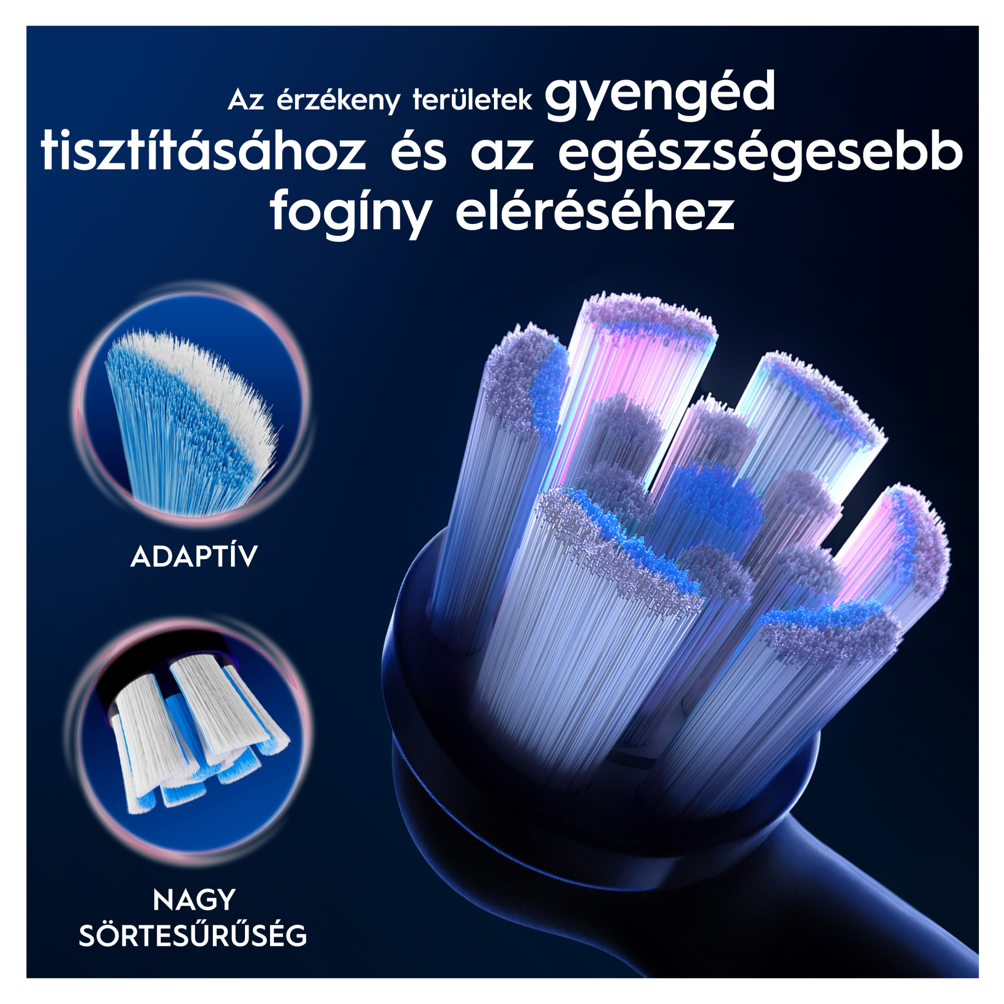Kék fogkefefej fehér és kék sörtékkel sötét háttéren, magyar felirattal.