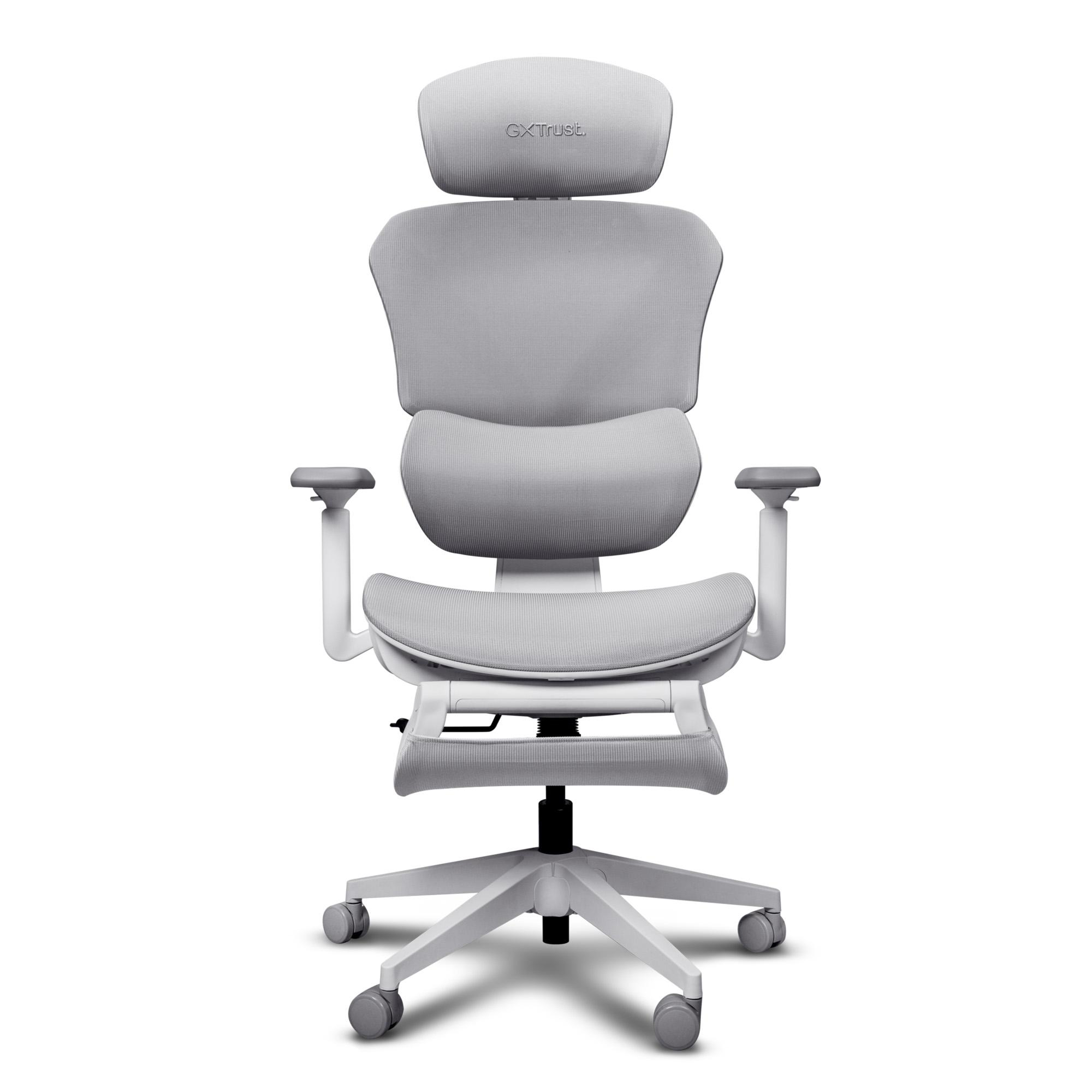 Moderner ergonomischer Buerostuhl in Hellgrau mit verstellbarer Kopfstuetze und Rollen.