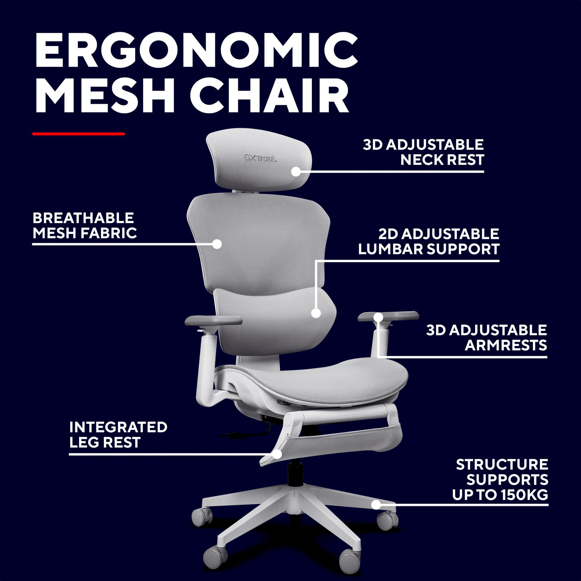 Ergonomischer Netz-Bürostuhl mit beschrifteten verstellbaren Funktionen wie Nackenstütze, Armlehnen und Lendenwirbelstütze.