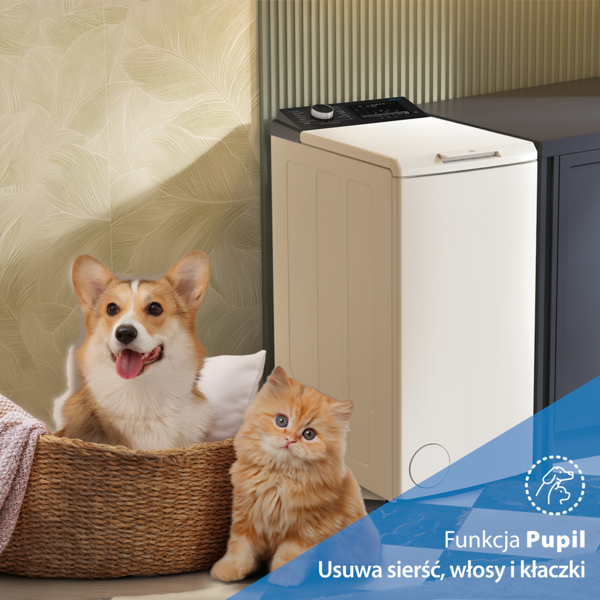 Corgi w koszu i rudy kot siedzą obok pralki na tle wzorzystej tapety.