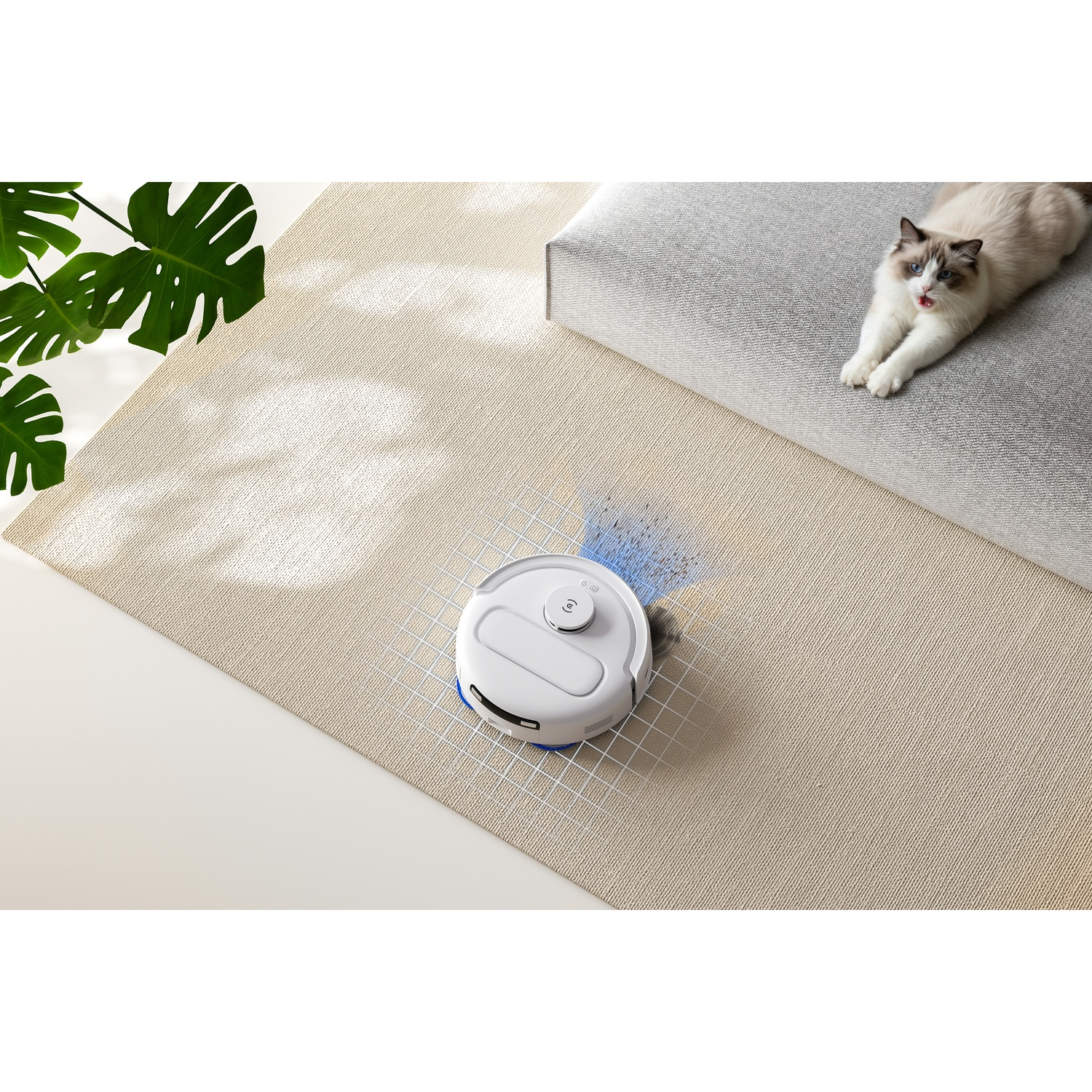 Un robot aspirapolvere bianco pulisce un tappeto, con un gatto su un divano grigio e una pianta verde.