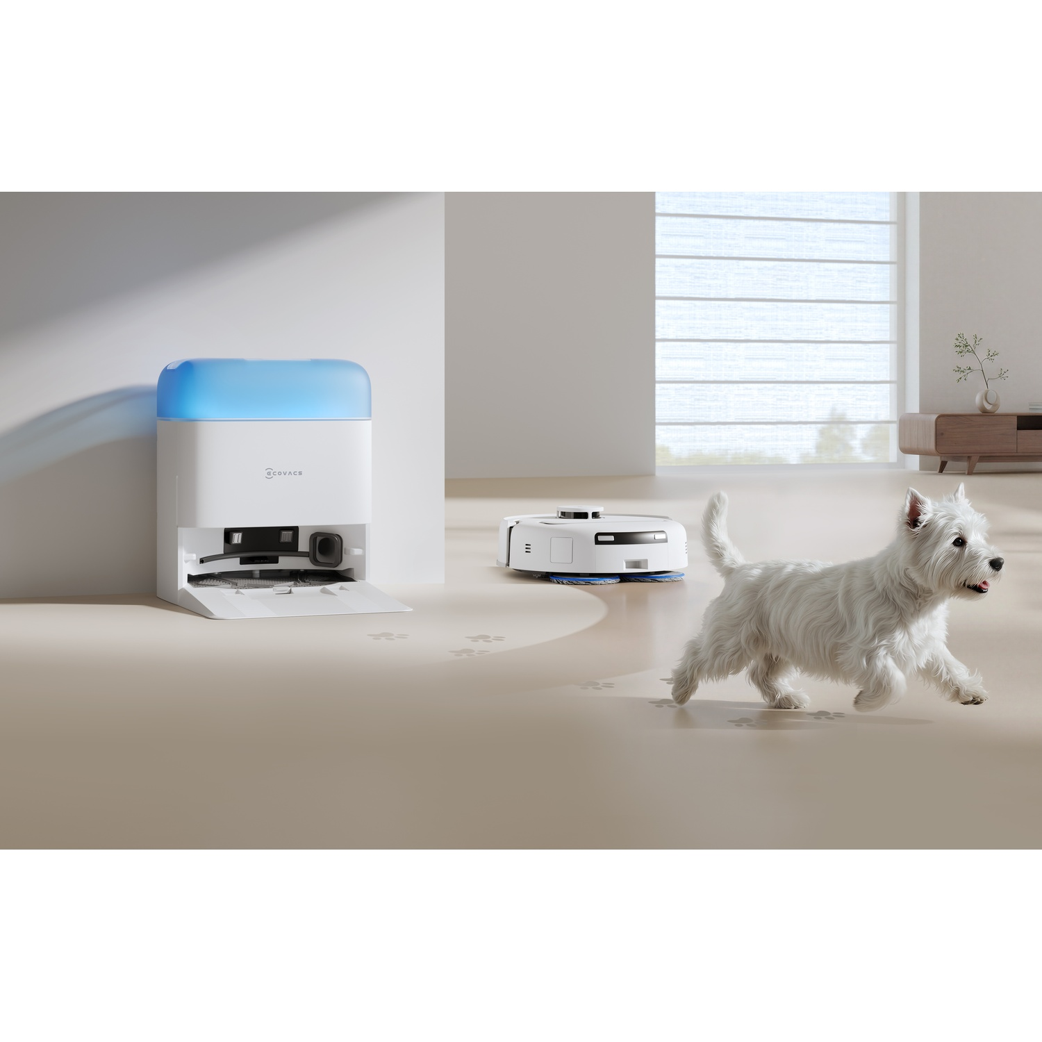 Un cane bianco corre in una stanza vicino a un robot aspirapolvere e alla sua base.