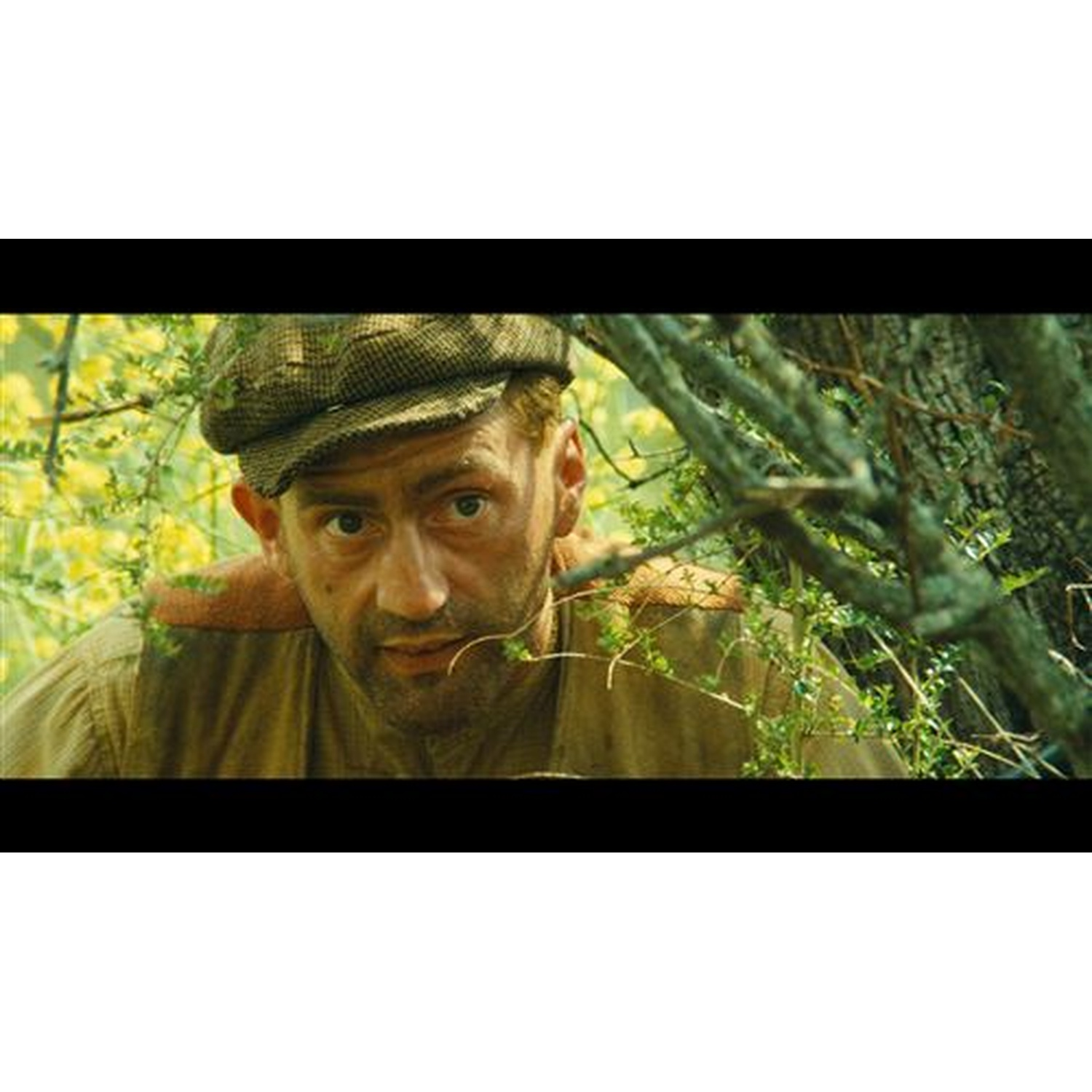 Un homme portant une casquette plate à carreaux regarde attentivement des broussailles.