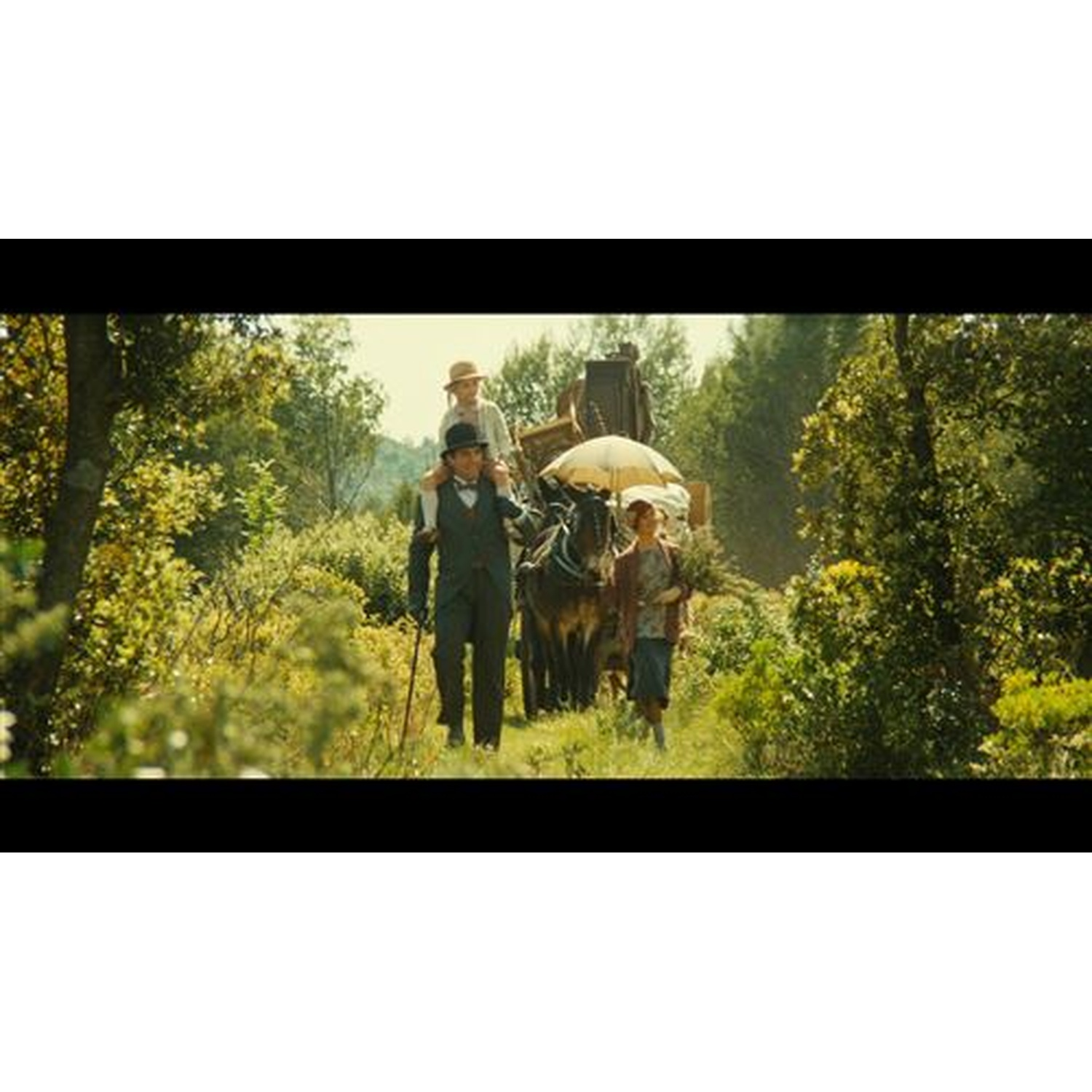 Une famille marche sur un sentier ensoleillé à travers une forêt luxuriante.